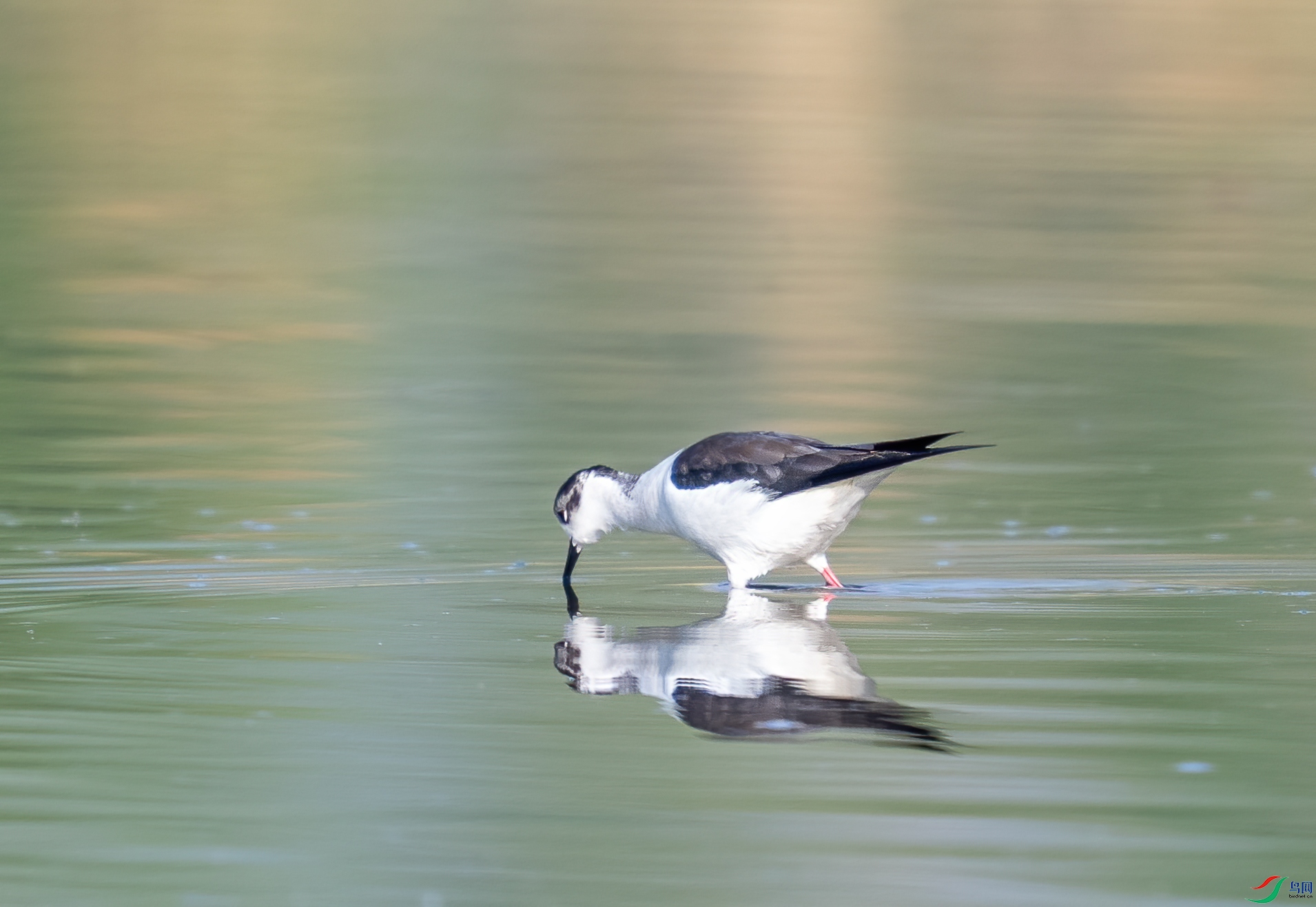 DSC_5184.jpg