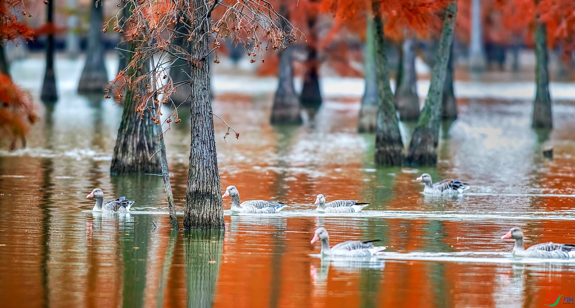 _S7I4022 ����-Sh----1 .jpg