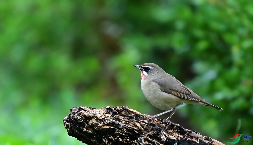 DSC_5456.JPG
