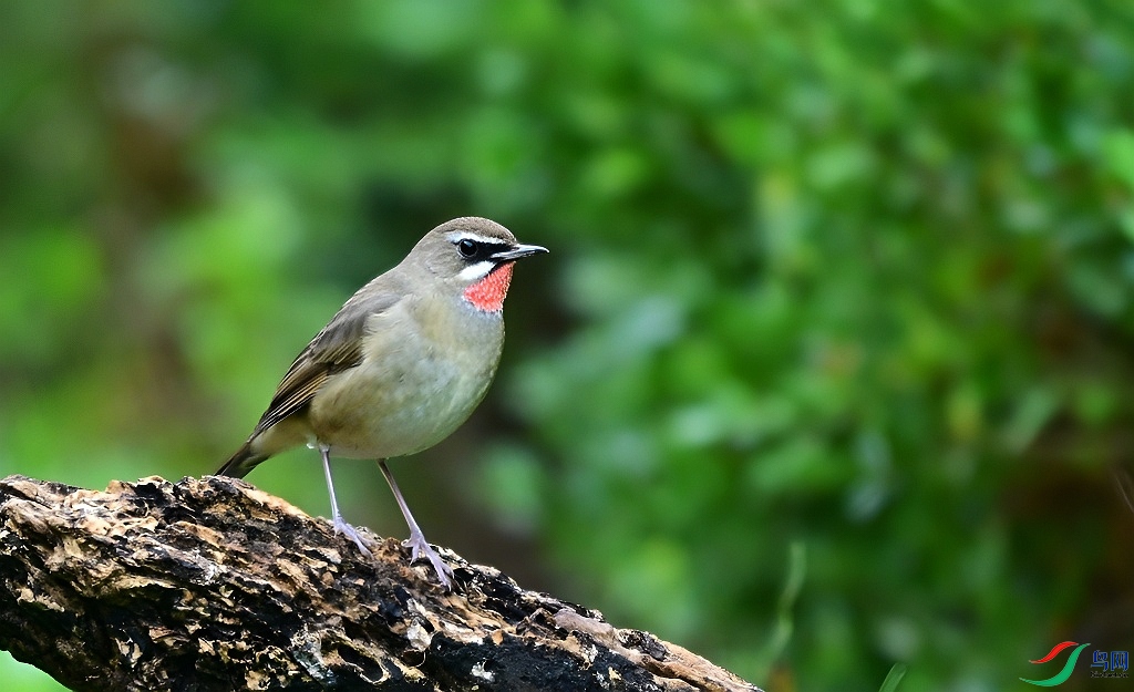 DSC_5476.JPG
