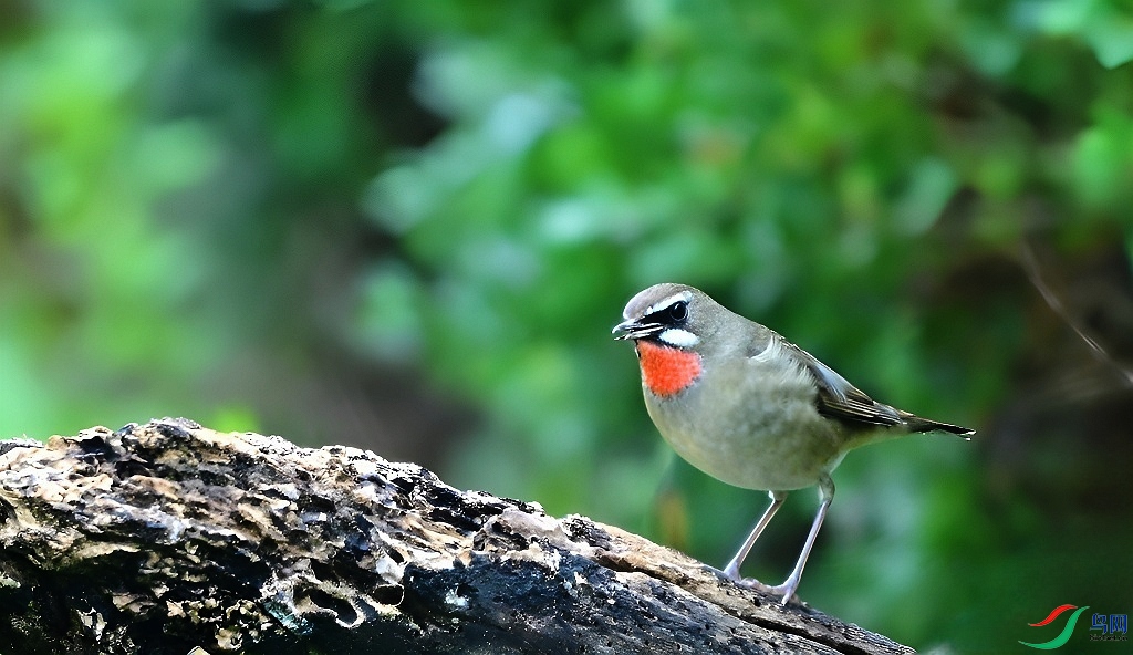 DSC_5556.JPG