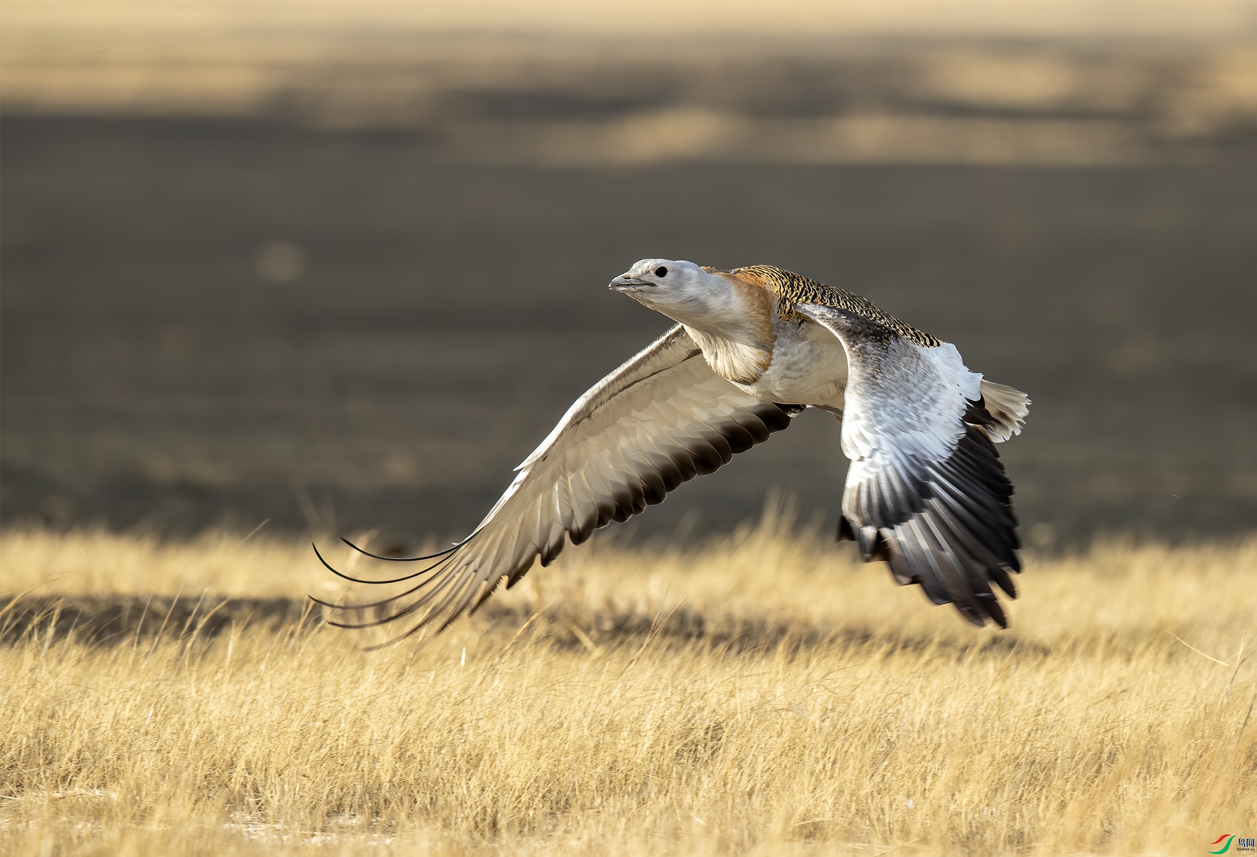 AC3I2286 ����.jpg