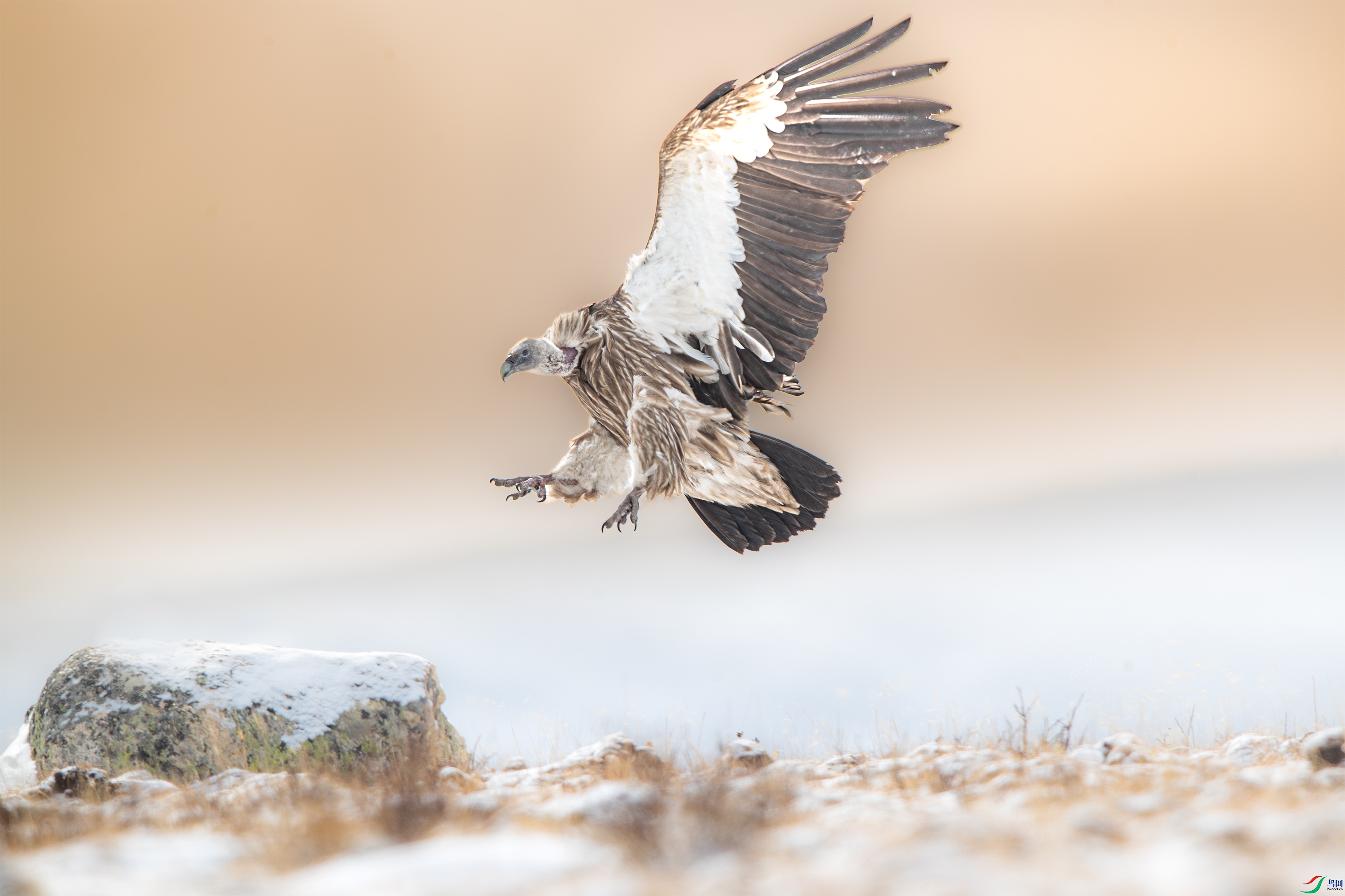 AY8I0905 -2-����.jpg