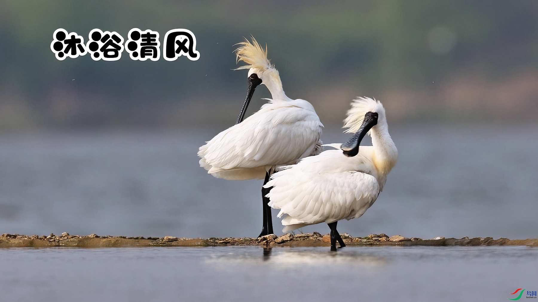 ��ԡ���-���� ����.jpg