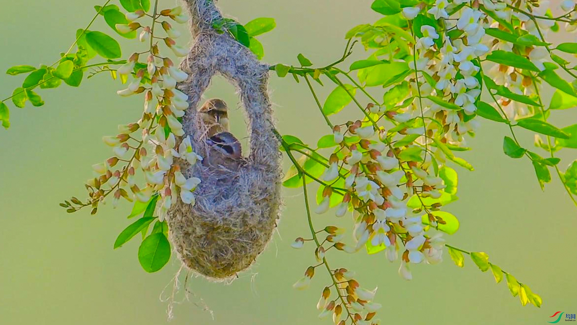 9��22�� (1)(1)-����.jpg