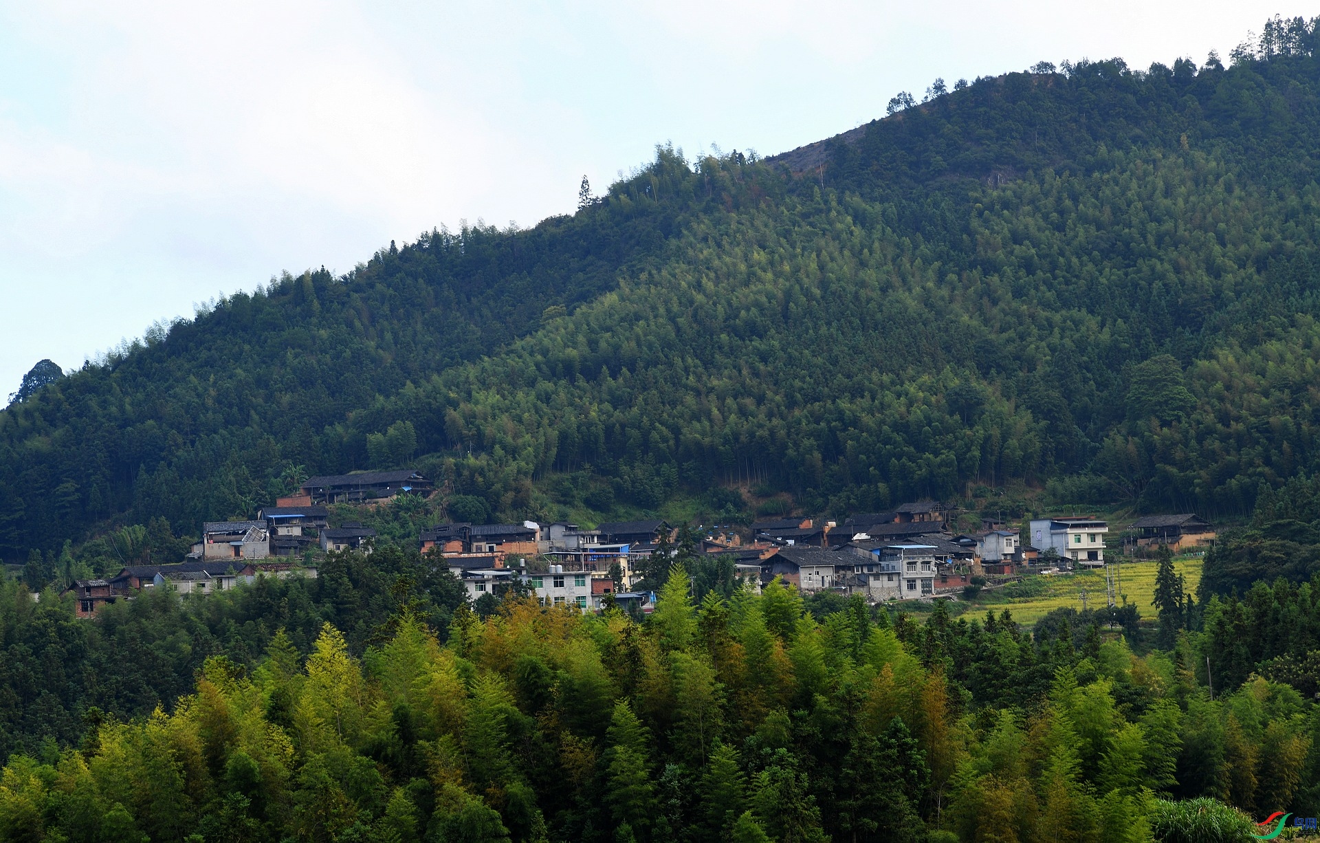 DSC_6125.jpg