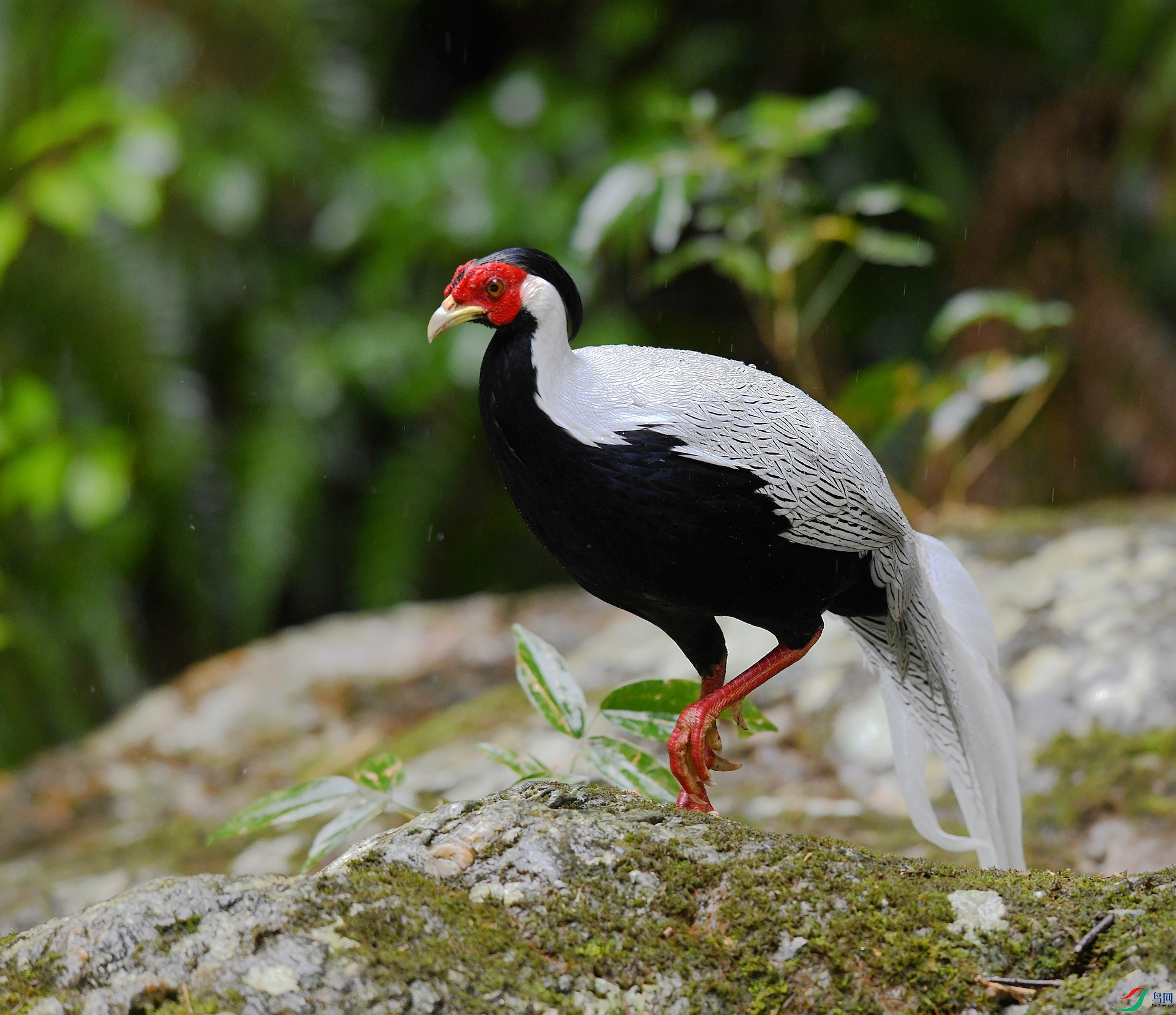DSC_5575.jpg