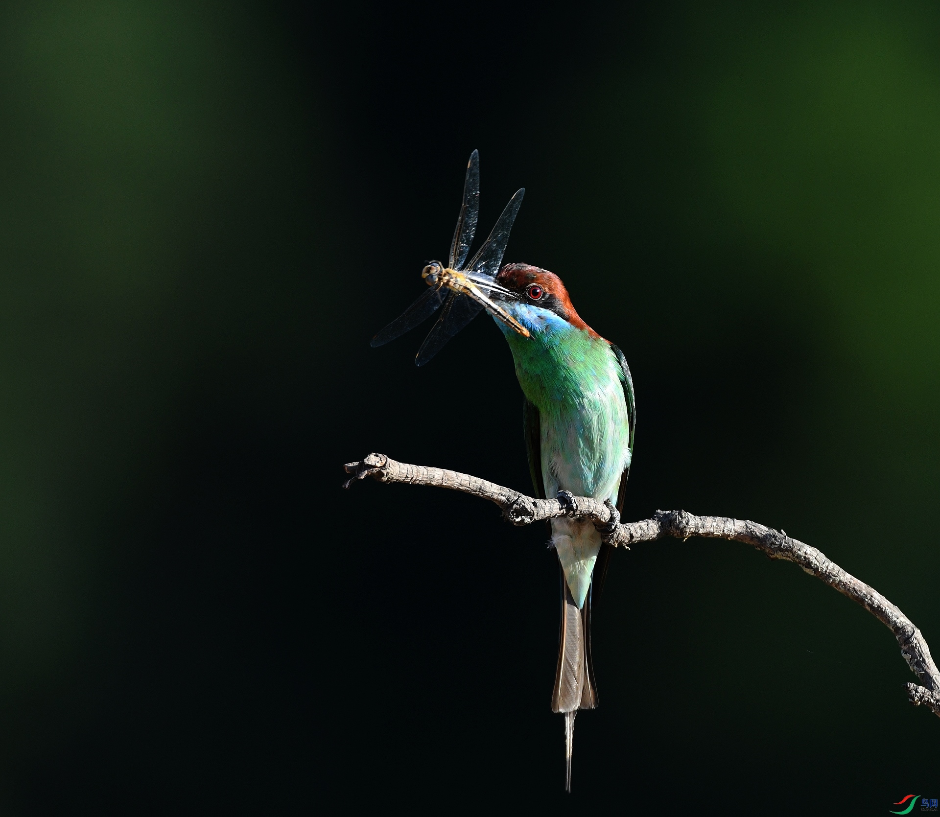 DSC_8706.jpg