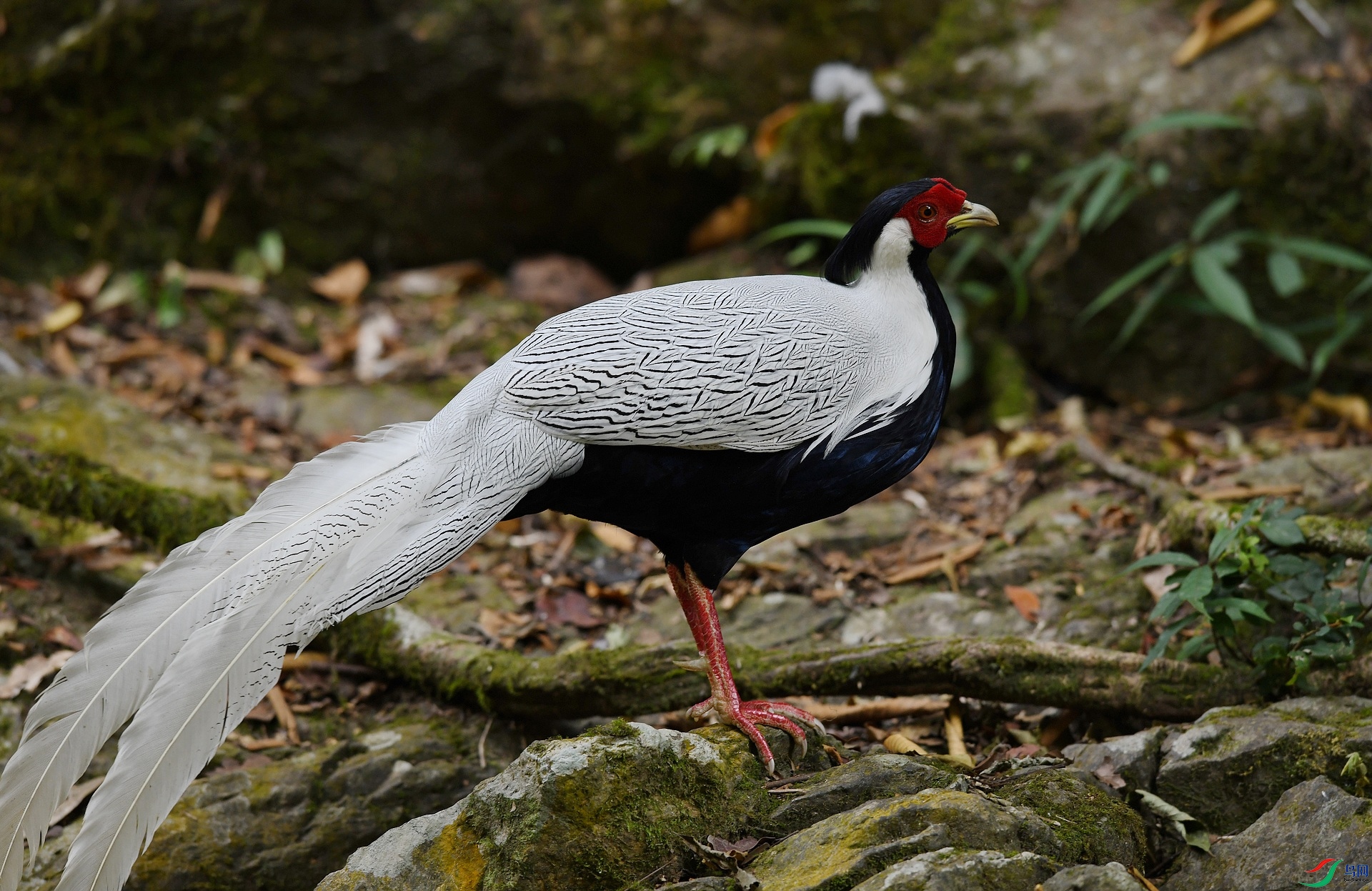 DSC_9168.jpg