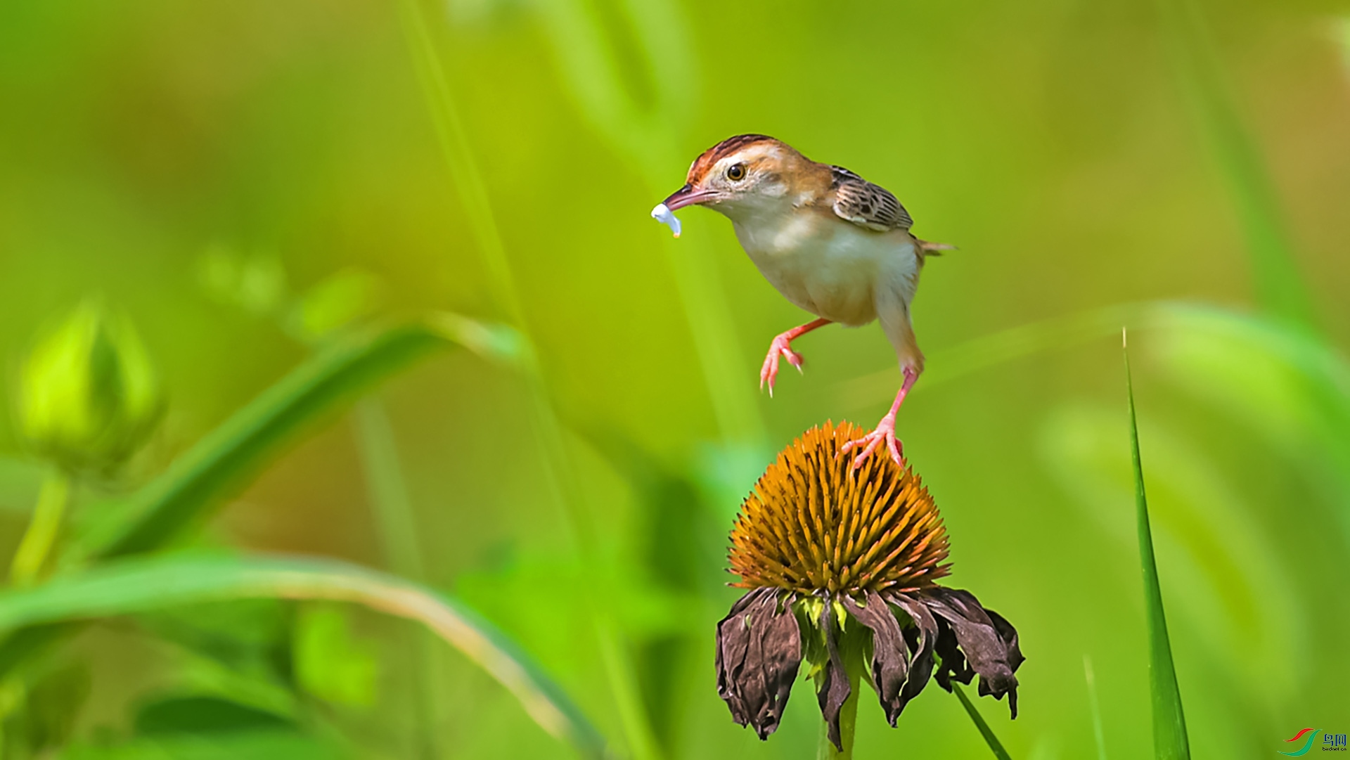 ����βݺ.00_00_32_22.Still001.jpg