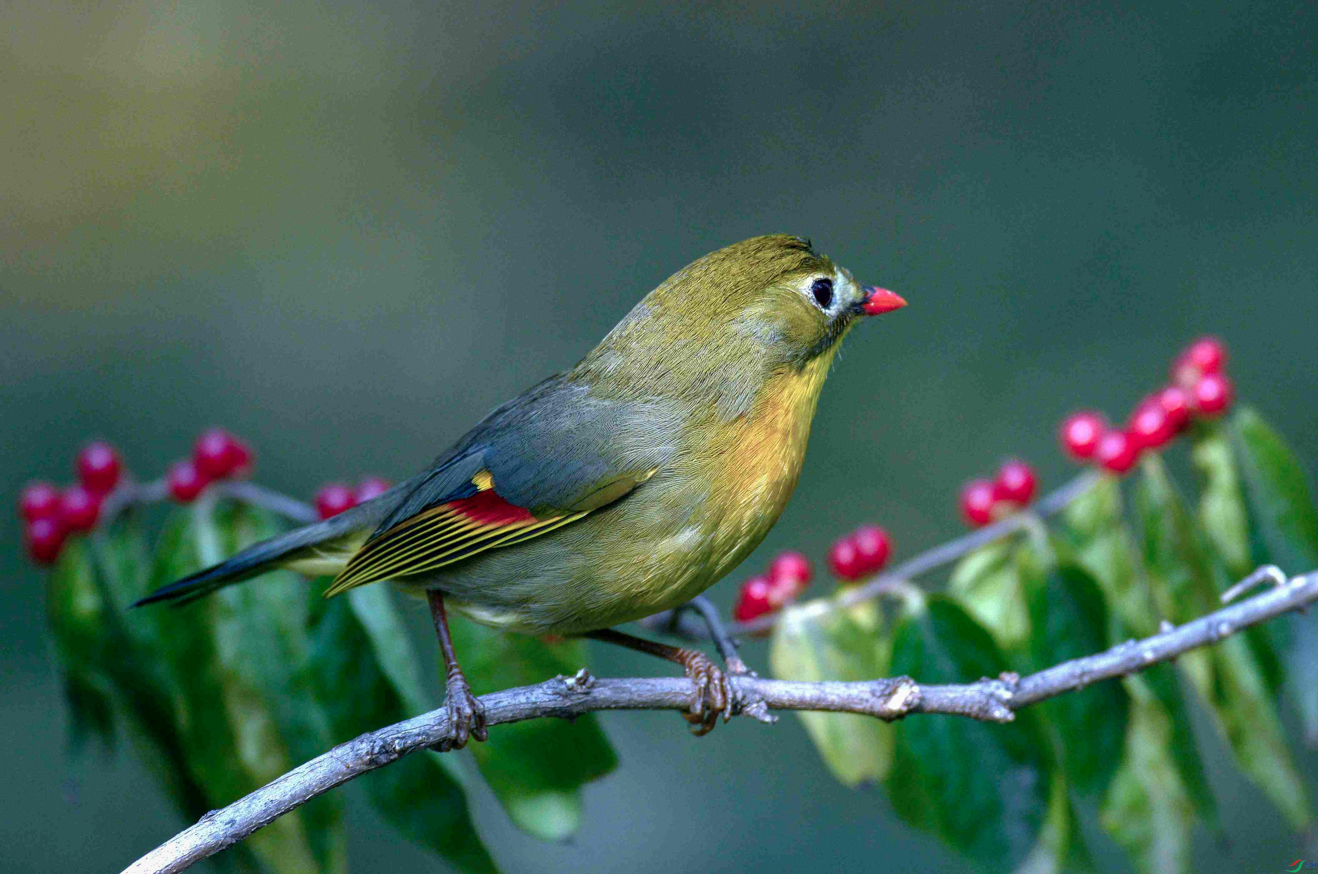 PPN_8413   ��_2.jpg