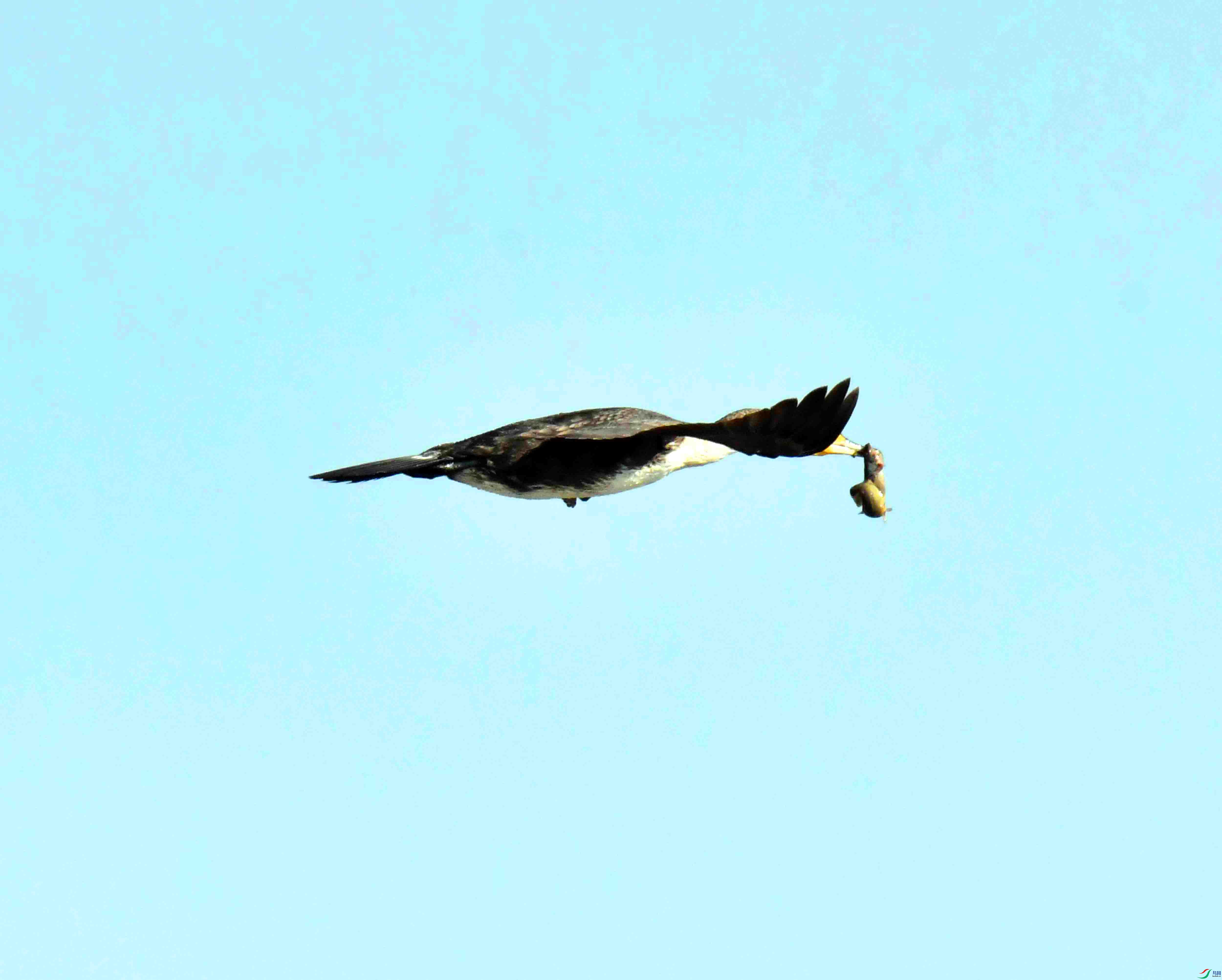 DSC_1191.JPG