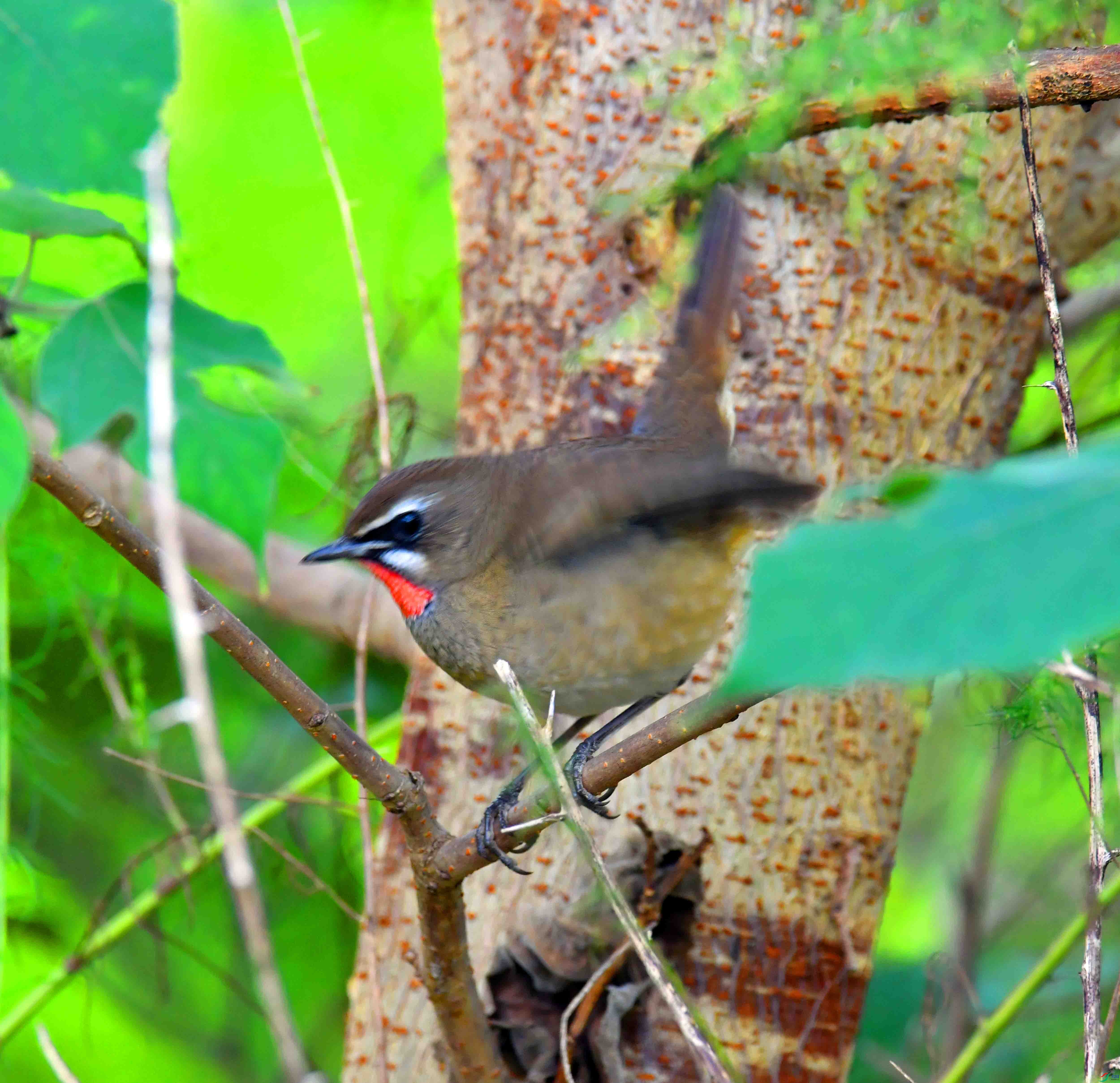 DSC_1352.JPG