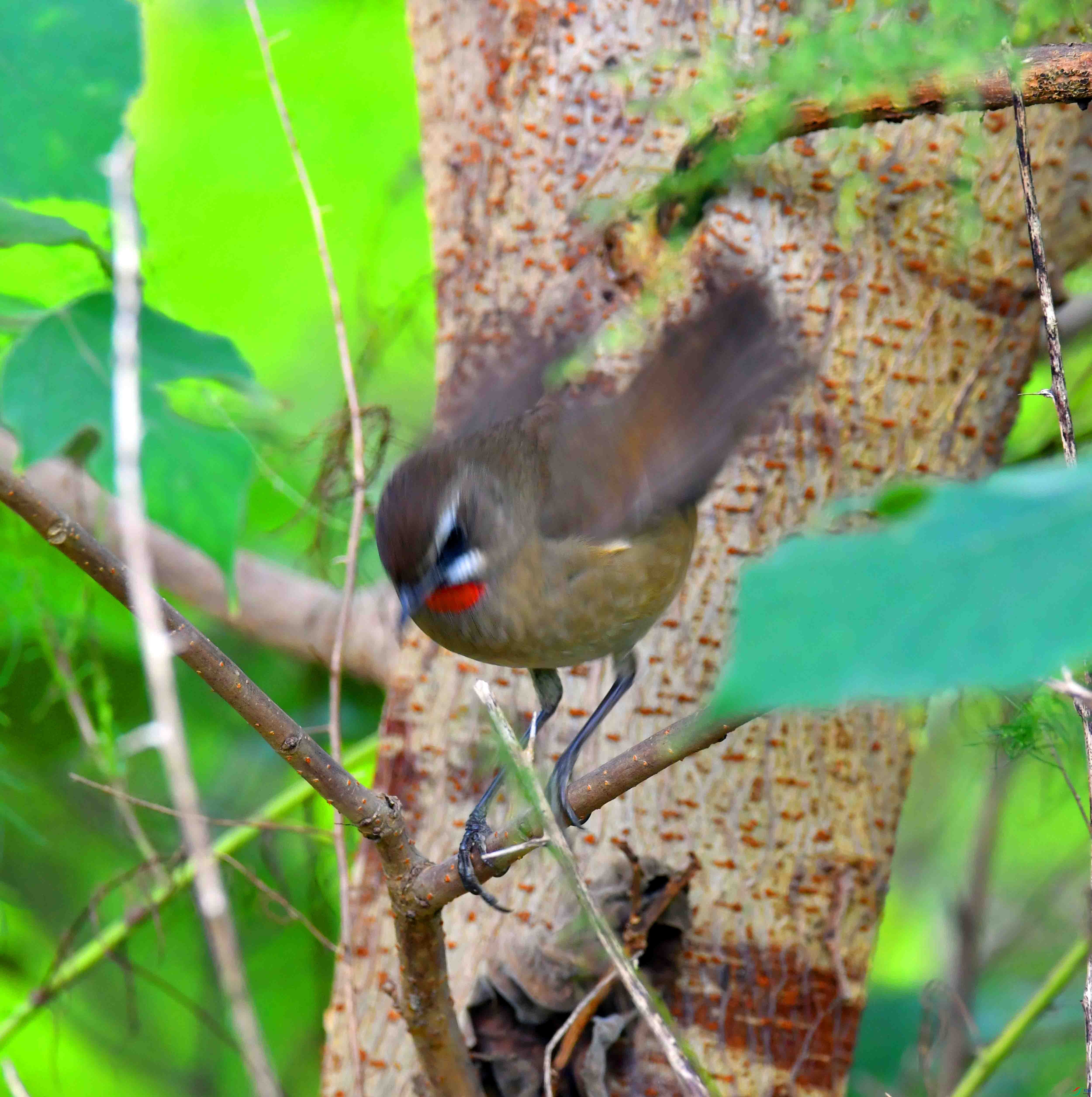 DSC_1362.JPG
