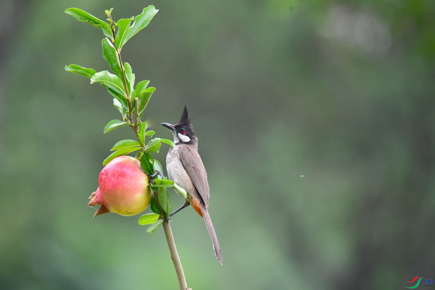 DSC_4644.JPG