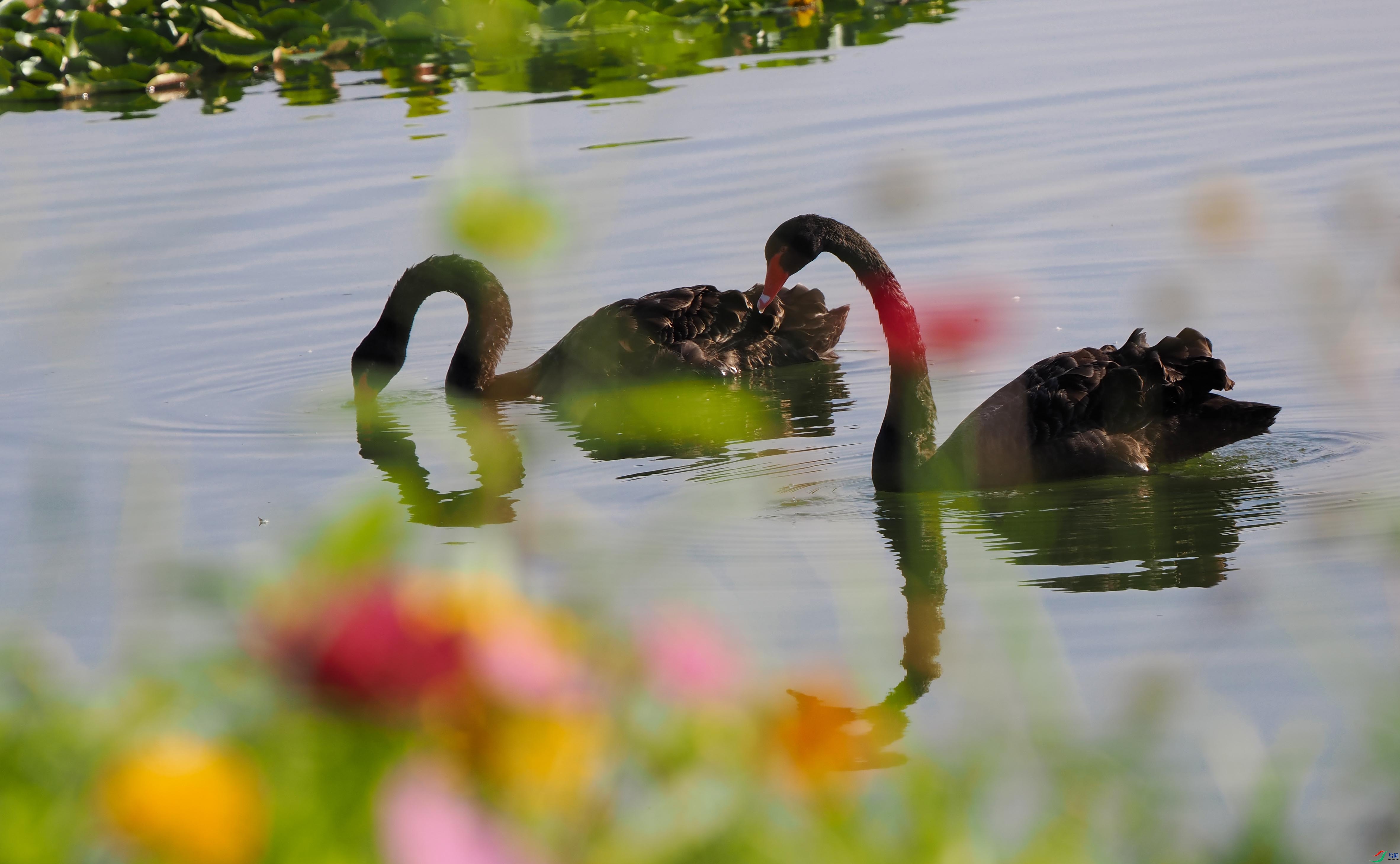 1-xtP9200192 ����.jpg