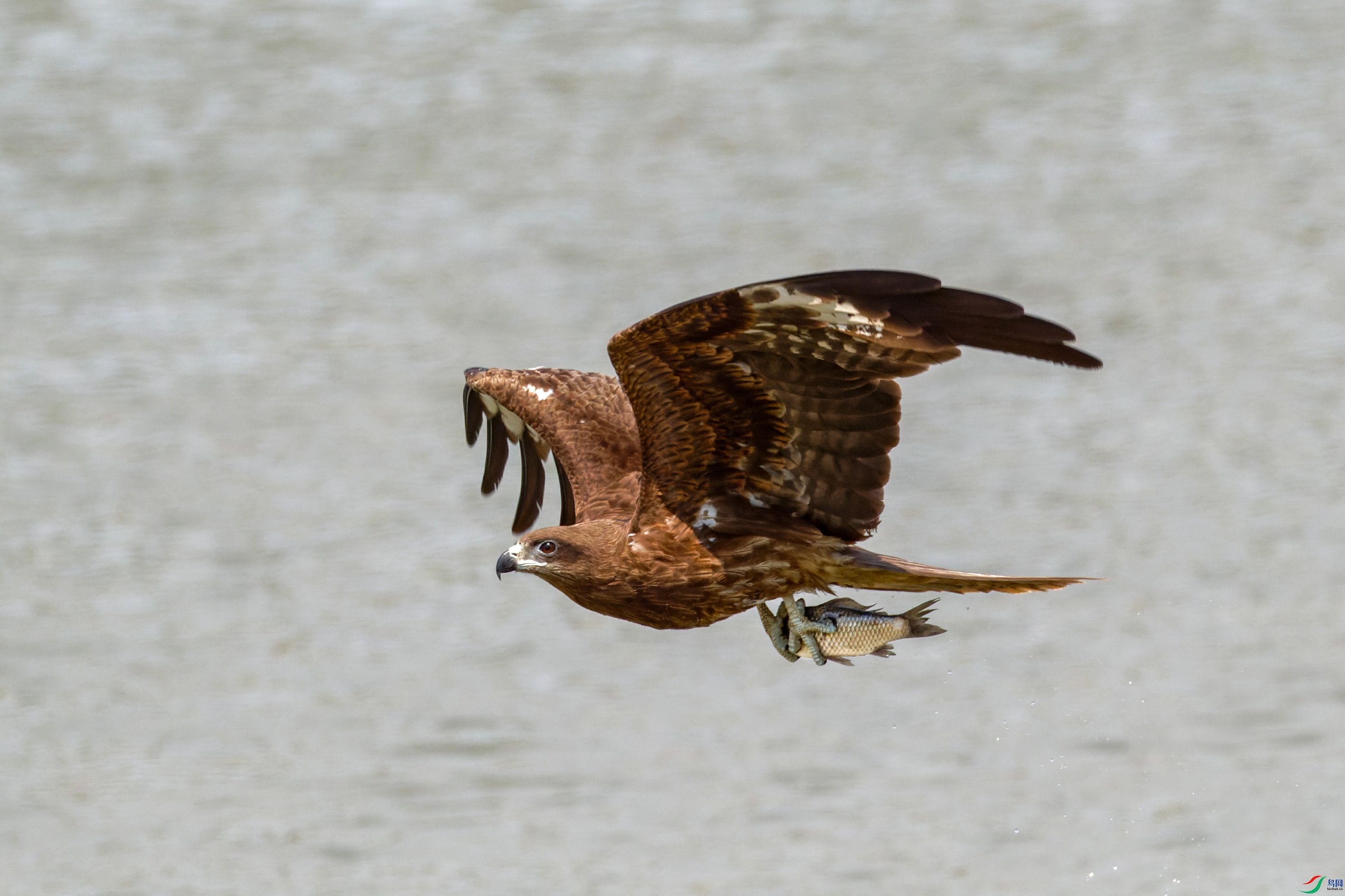 7D2_3656-CR2_DxO_DeepPRIME-1.jpg