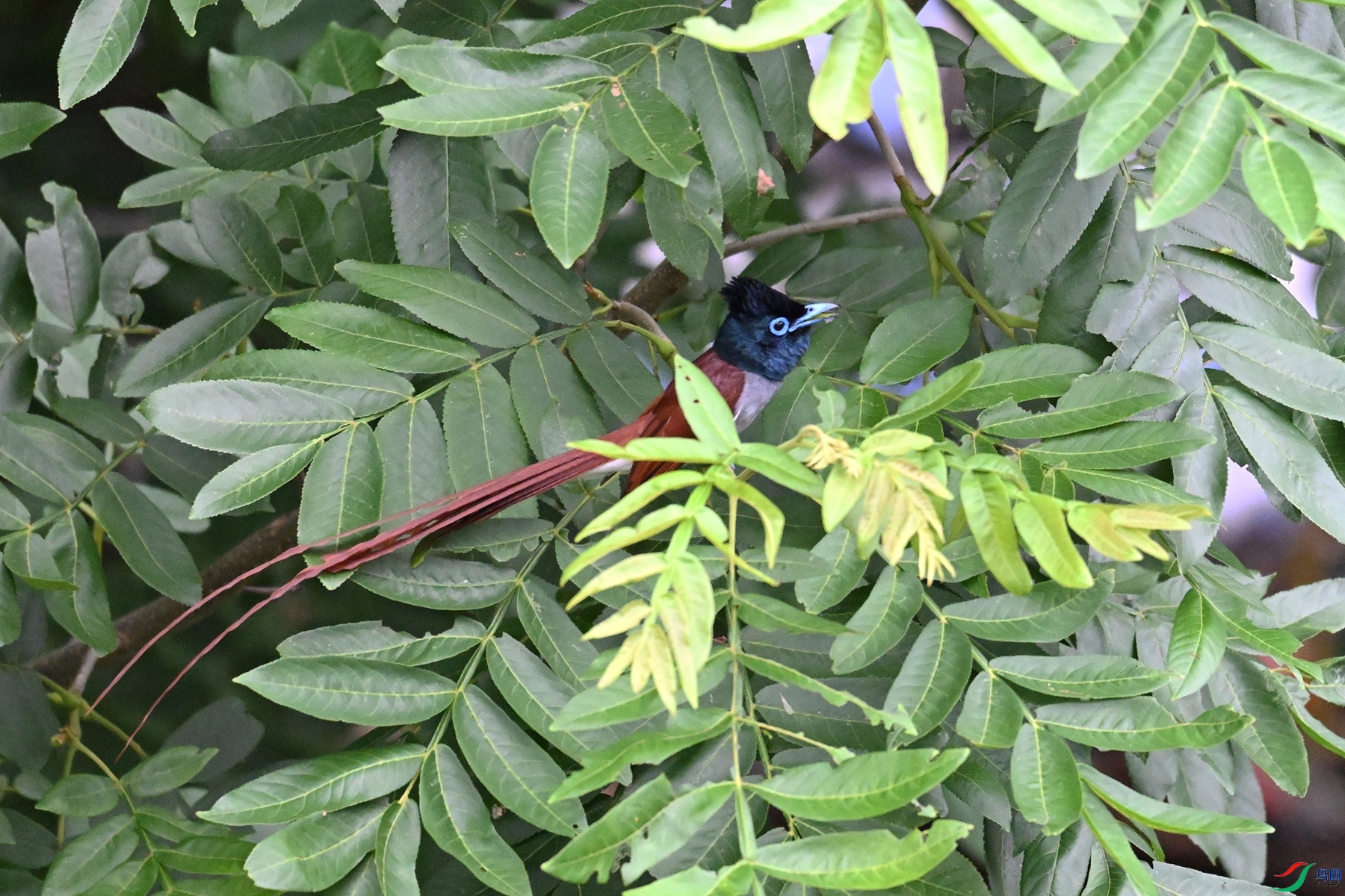 DSC_5929.JPG