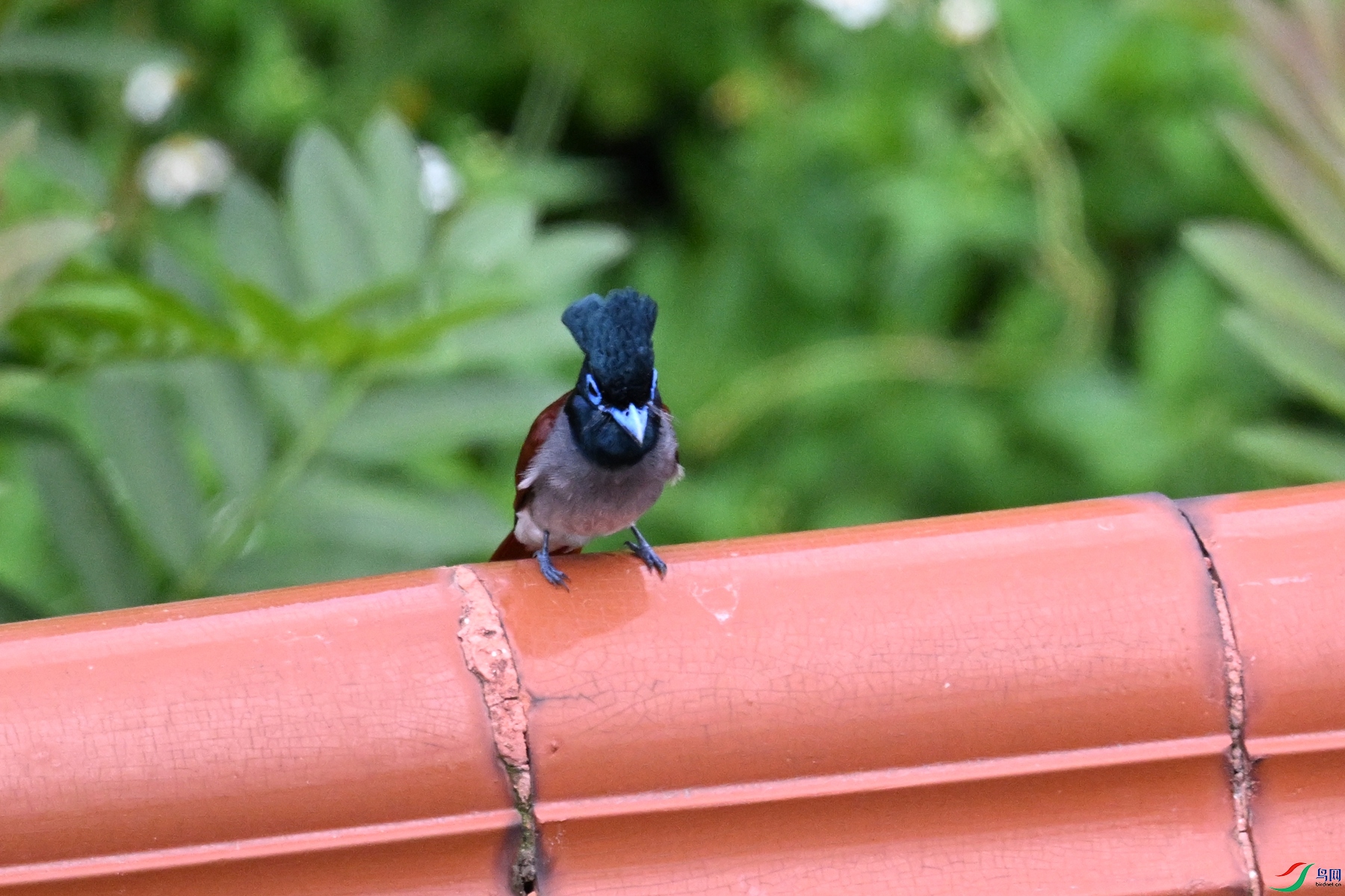 DSC_5904.JPG