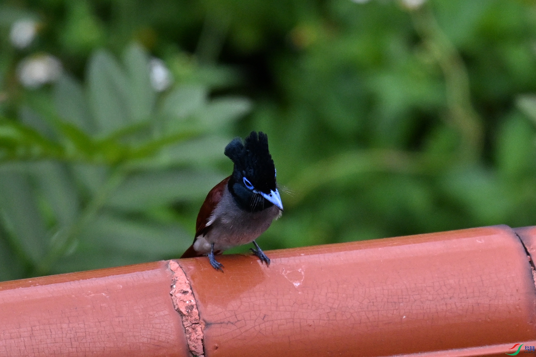 DSC_5908.JPG