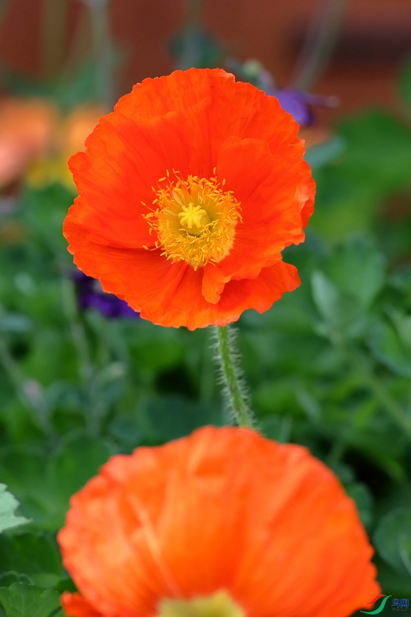 A11I9938.JPG