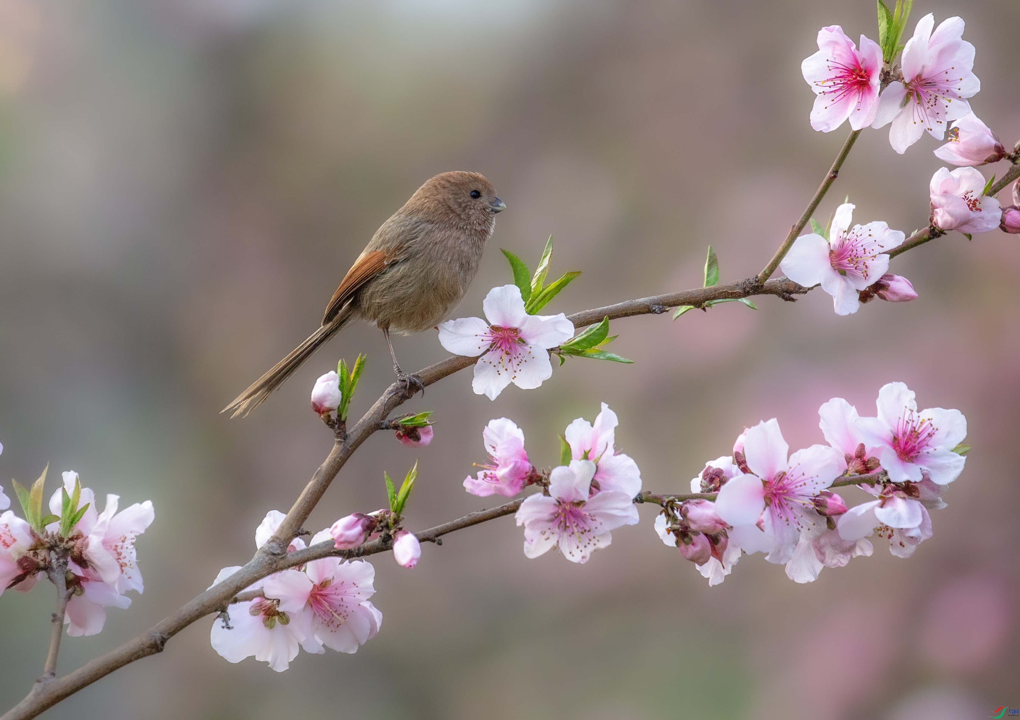 673A1359 ����.jpg