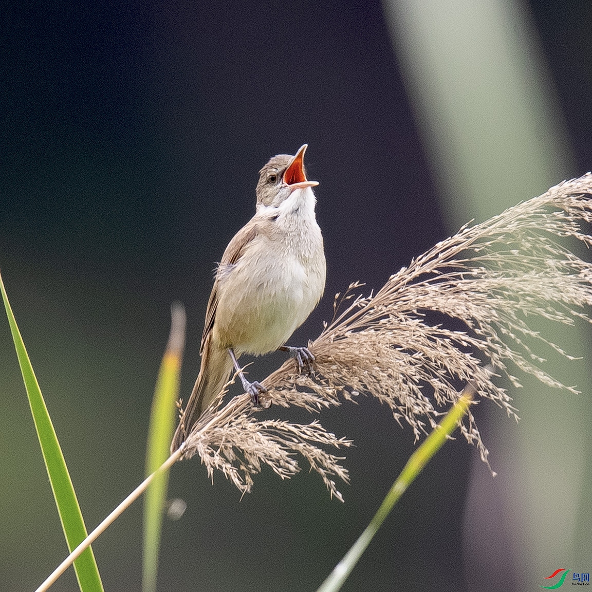 _90I8064 ����.jpg