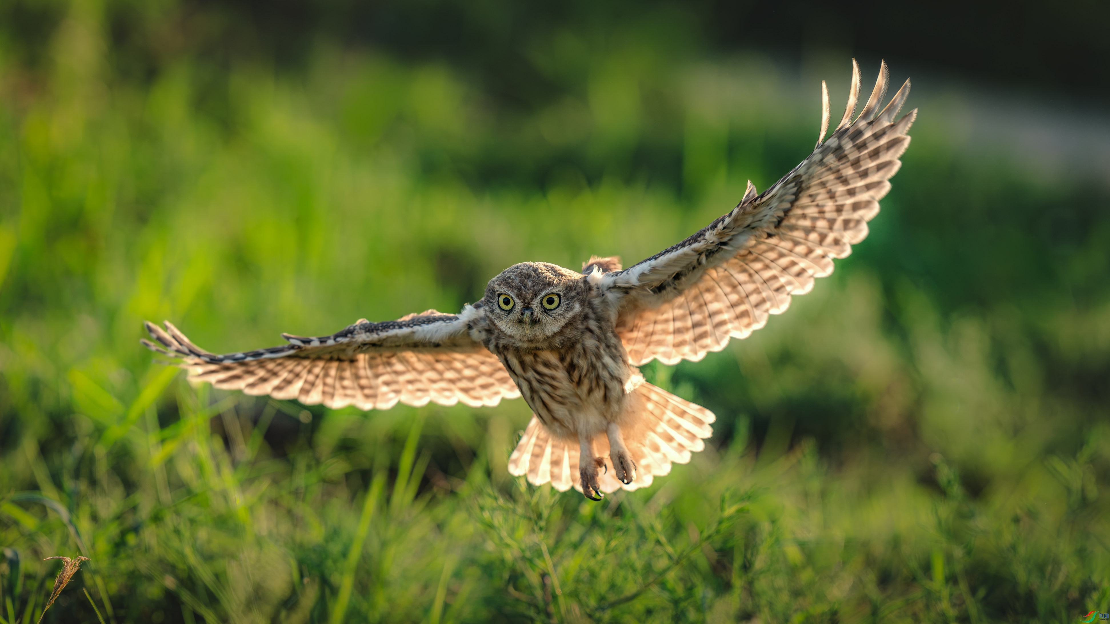 ��_DSC2958_����.jpg