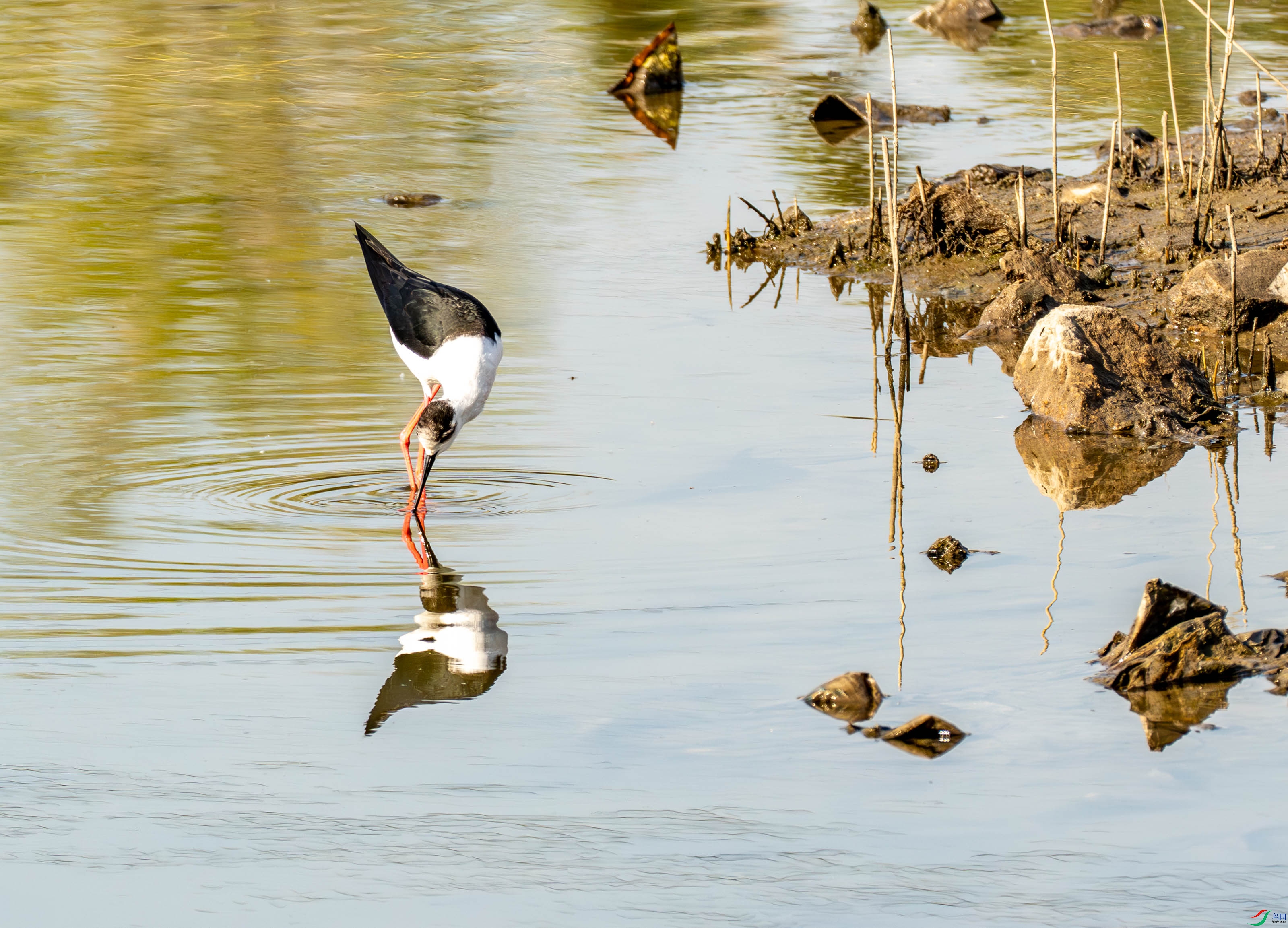 �ڳ᳤���� (8 - 21).jpg