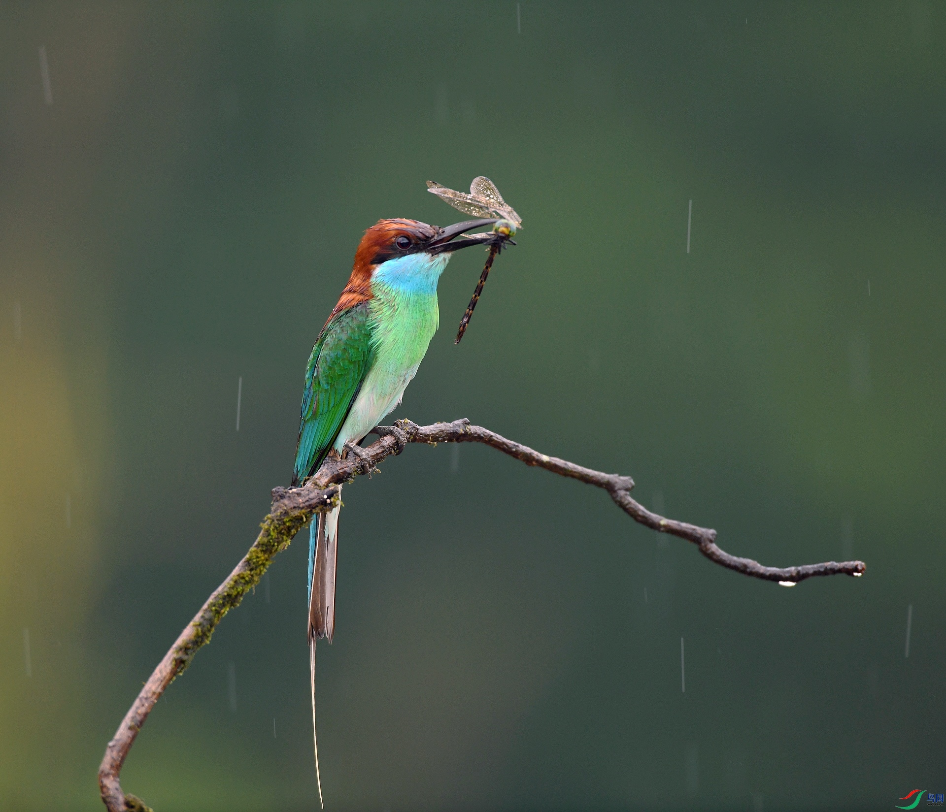 DSC_9174.jpg