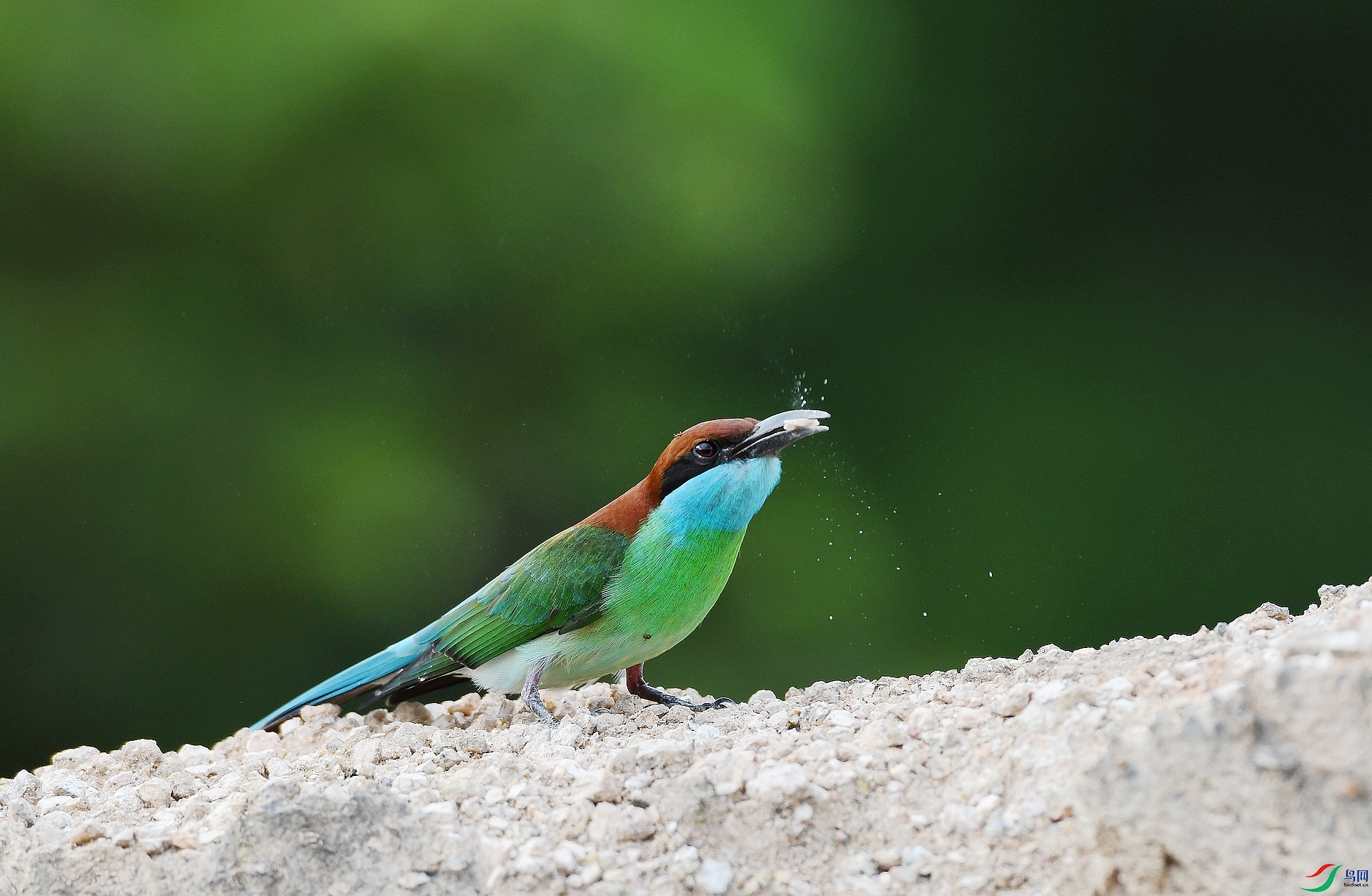 DSC_9532.jpg