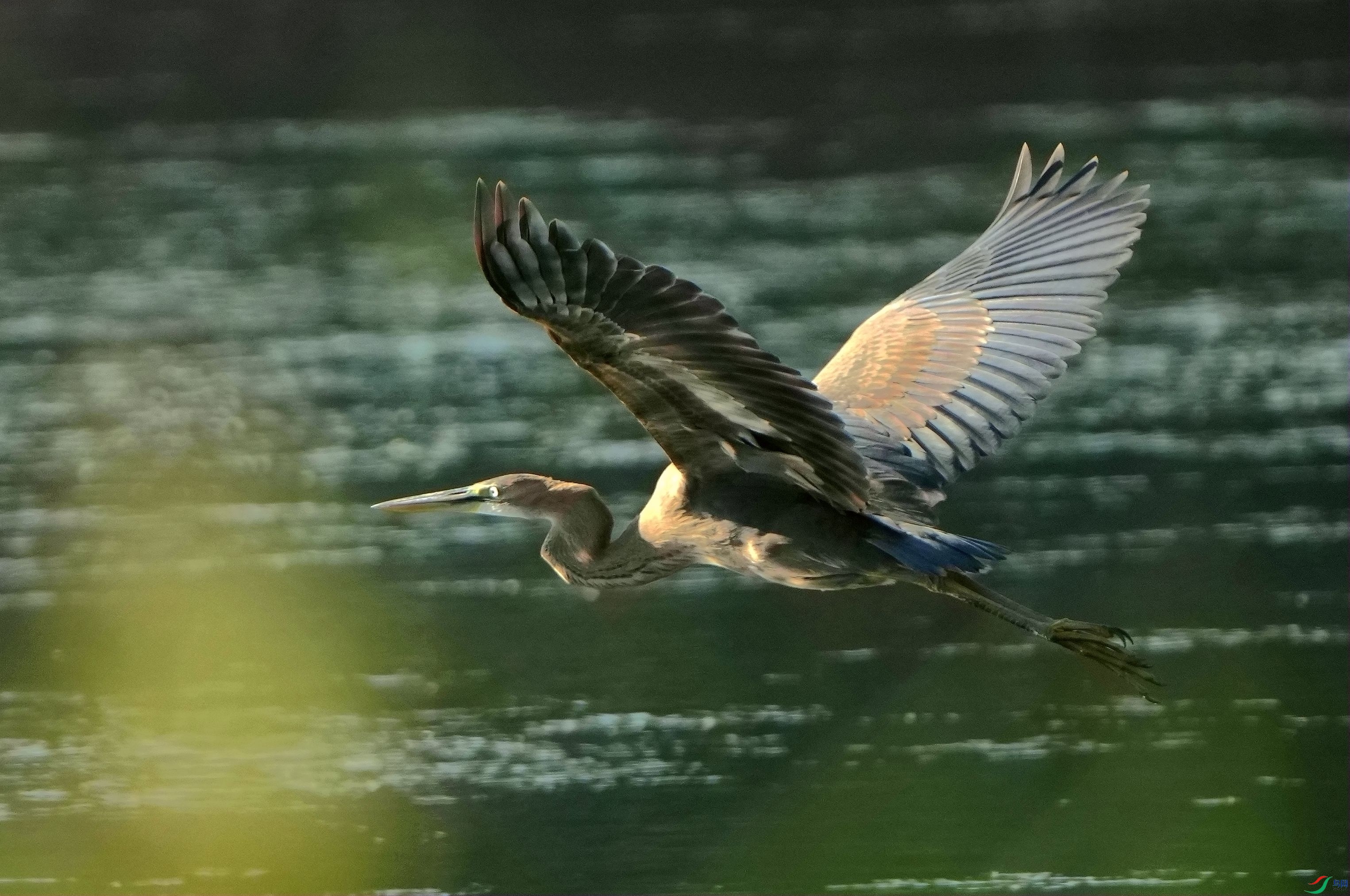 ����������DSC00749_����.jpg