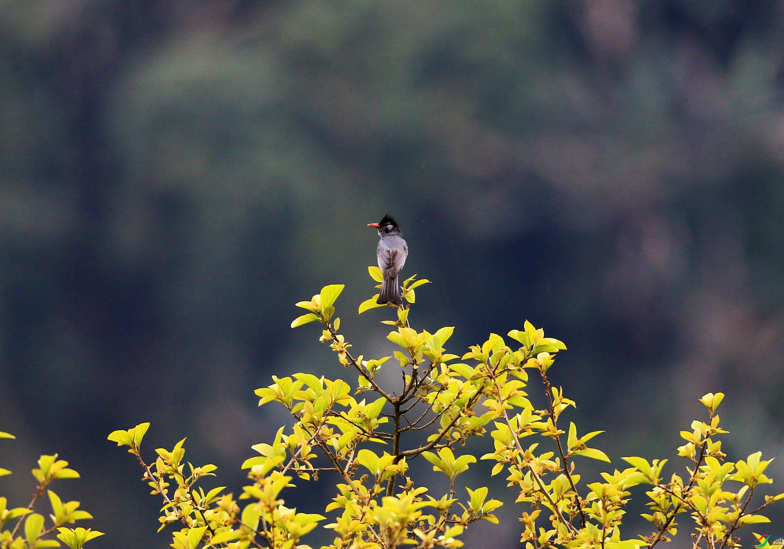 �ڶ̽��� (28).JPG