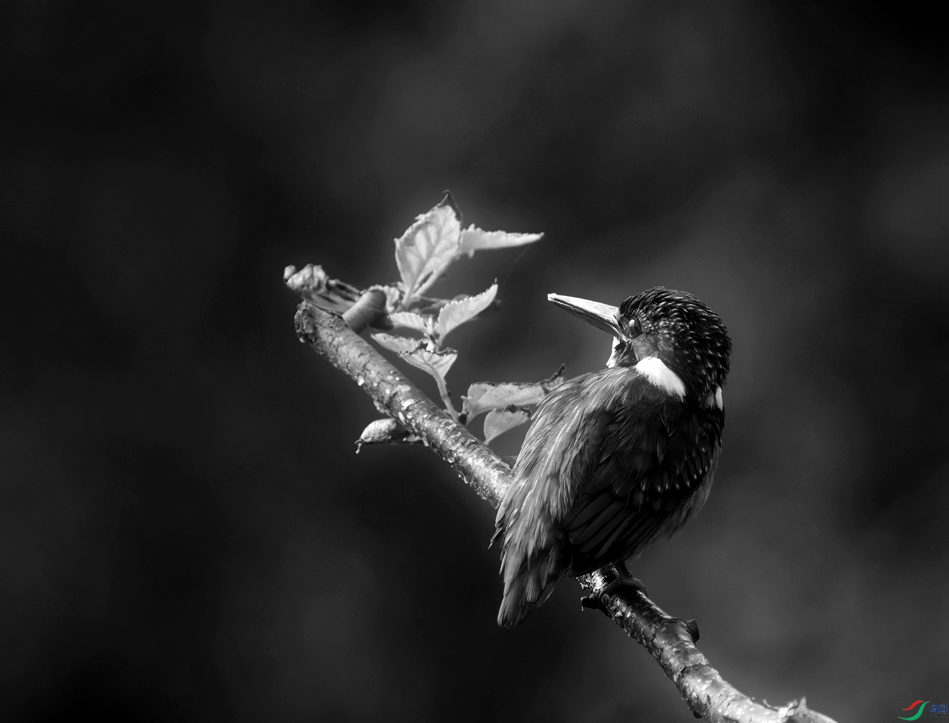 DSC02197 ����_����.jpg