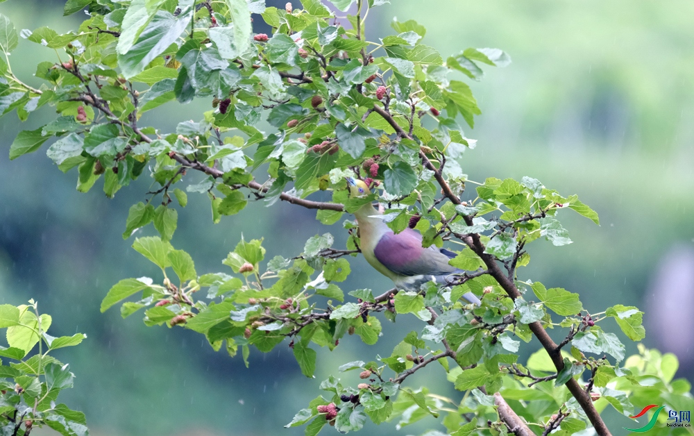 DSCF3936.1.jpg