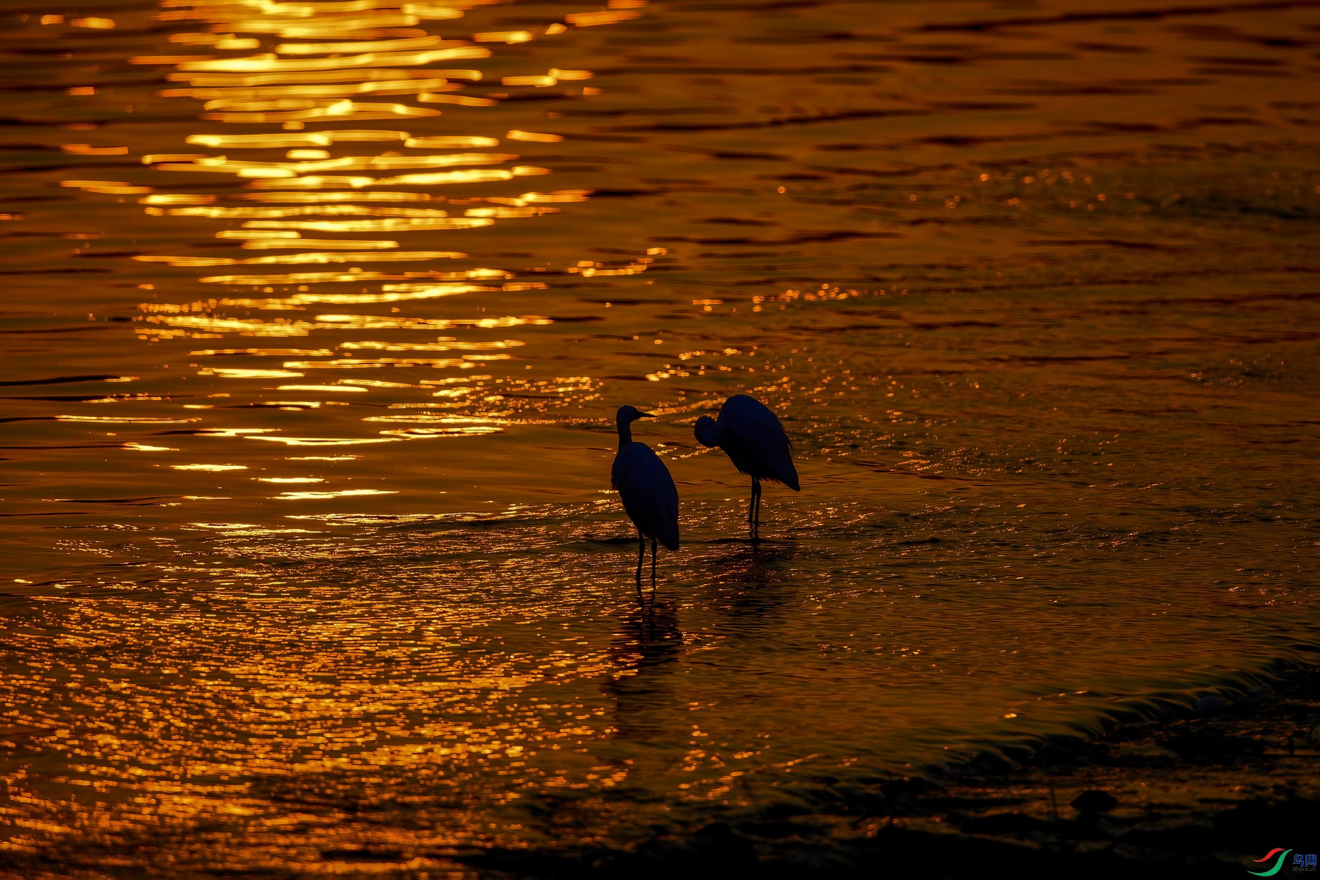 _DSC1023 ����F001.jpg