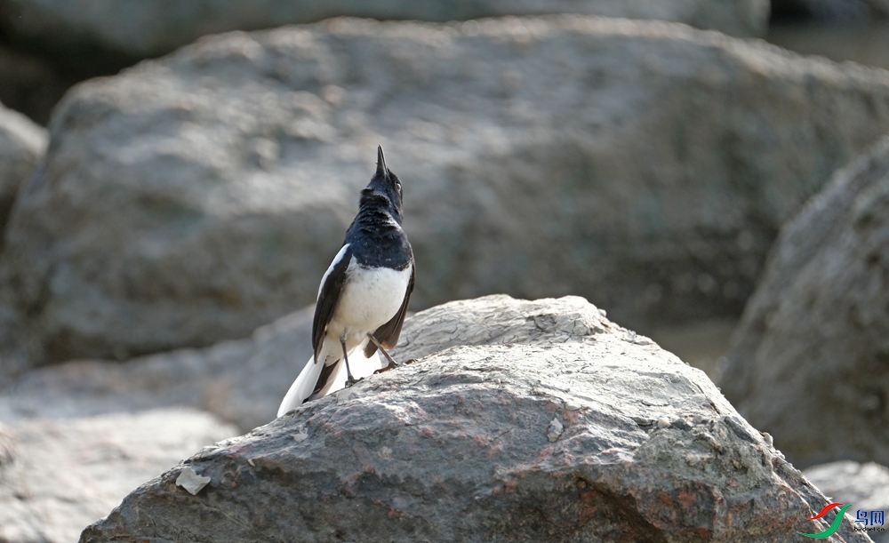 DSCF3139.1.jpg