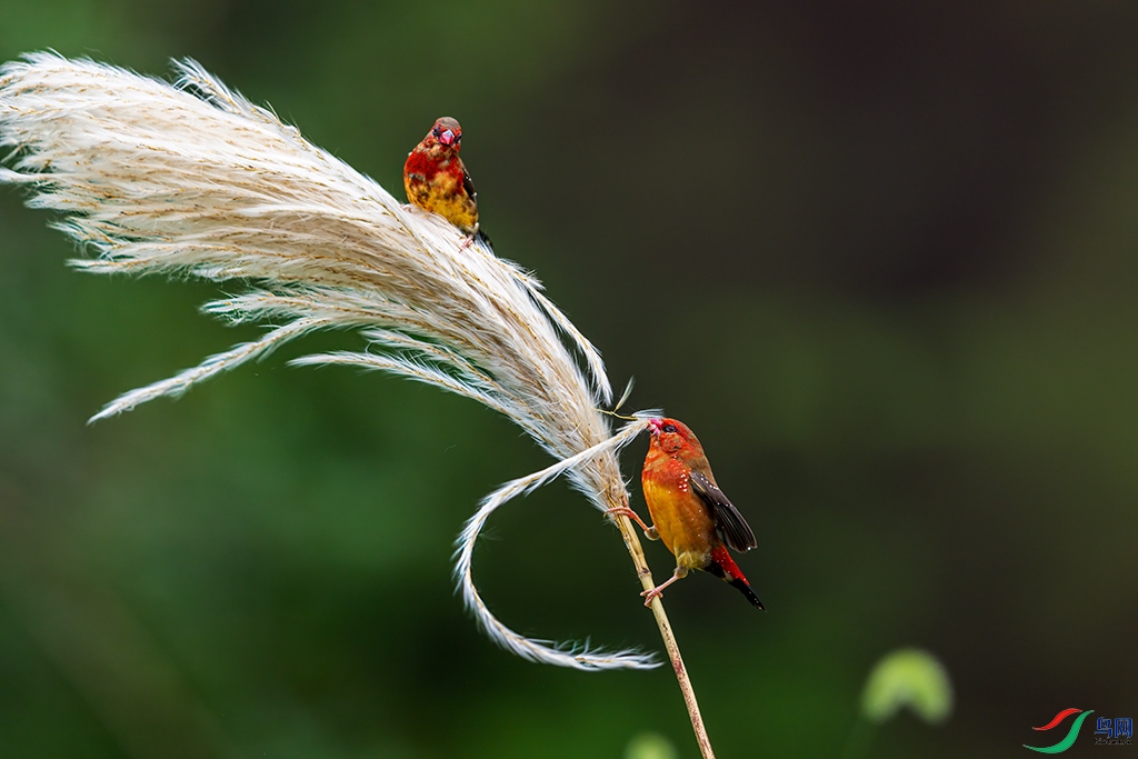 sdwfR5250825 (729).jpg