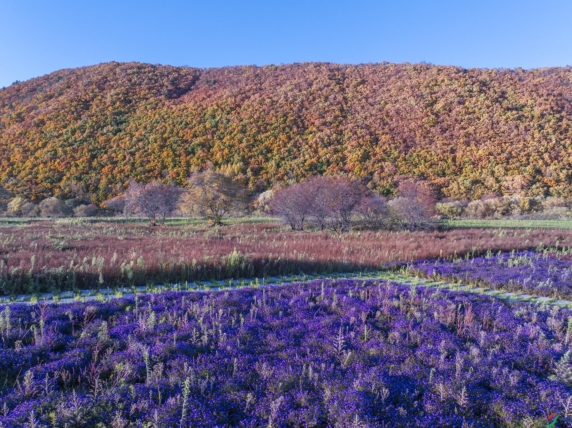 dji_fly_20241002_155336_0016_1727864993093_photo ����.jpg