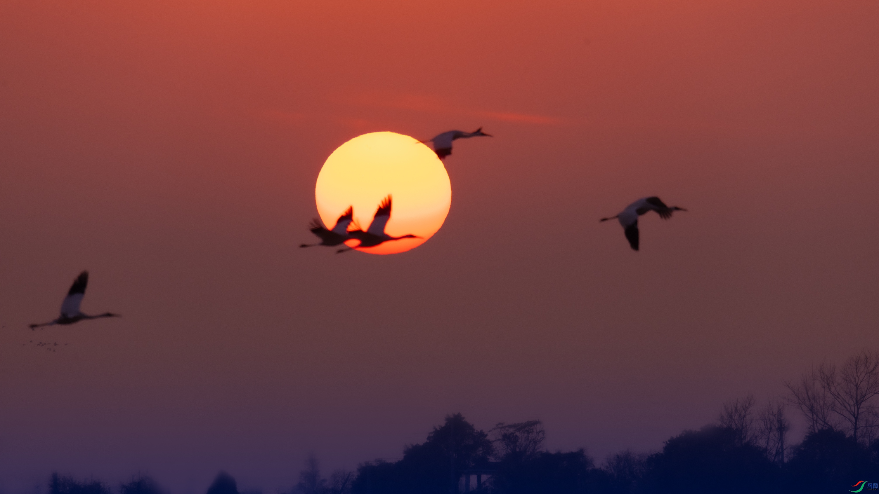 _O7A0773 ����444.jpg