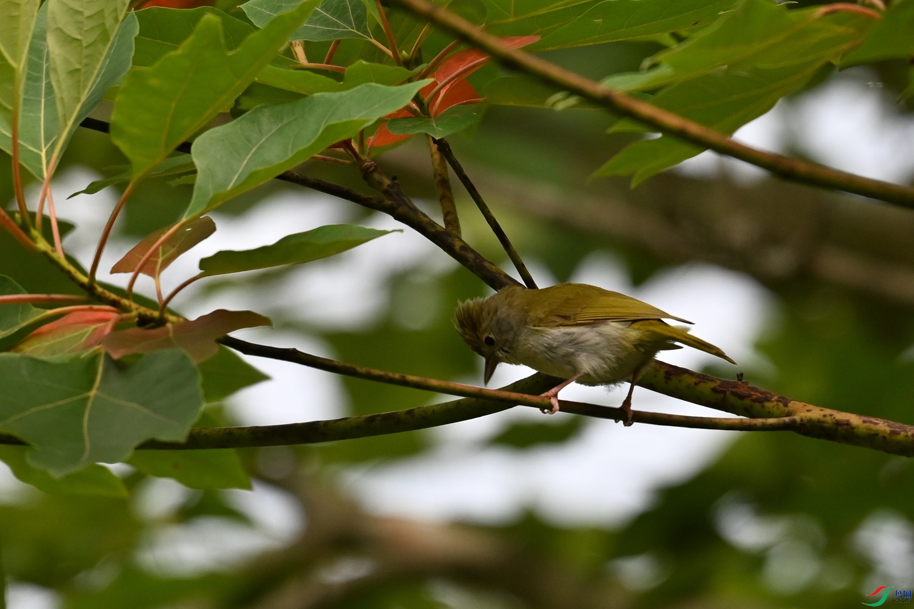 DSC_9110.JPG