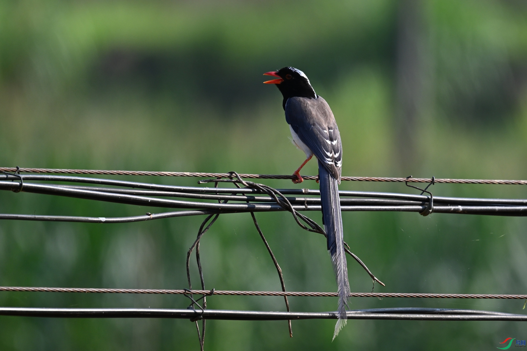 DSC_9076.JPG