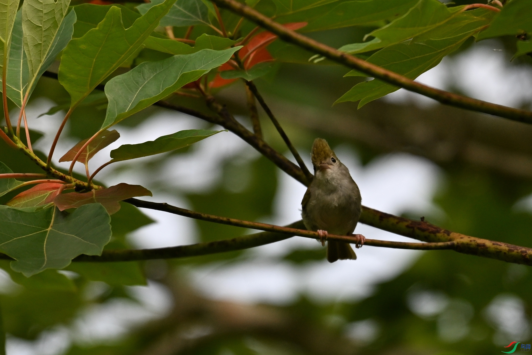 DSC_9112.JPG