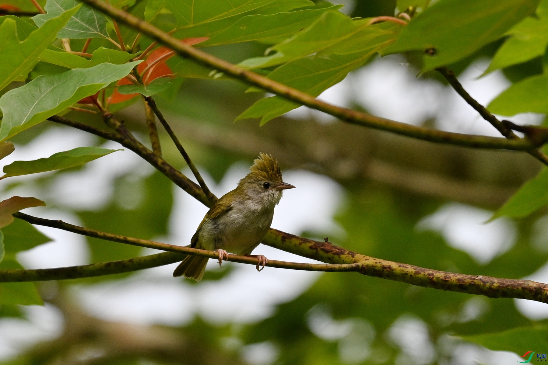 DSC_9118.JPG