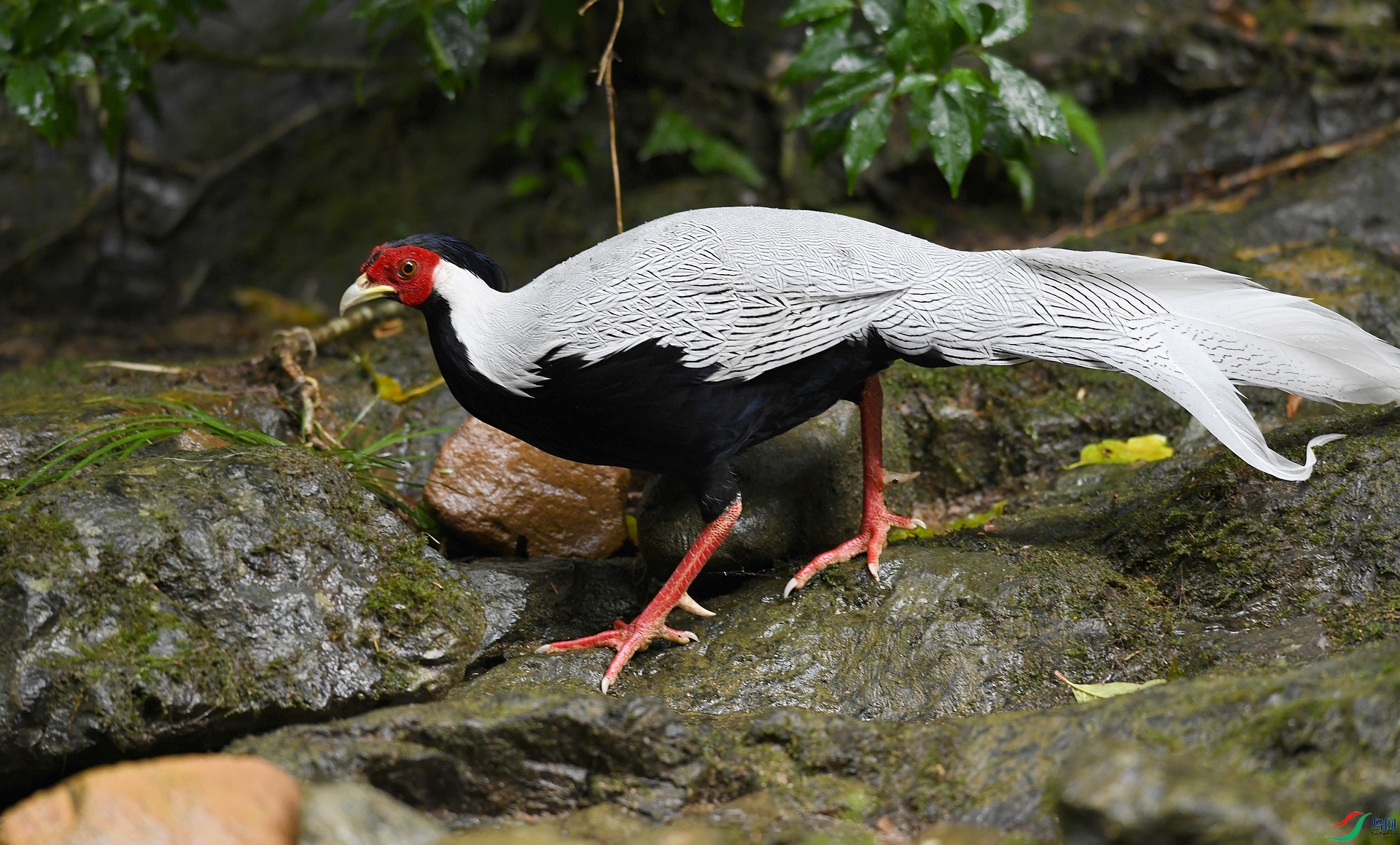 DSC_5609.jpg