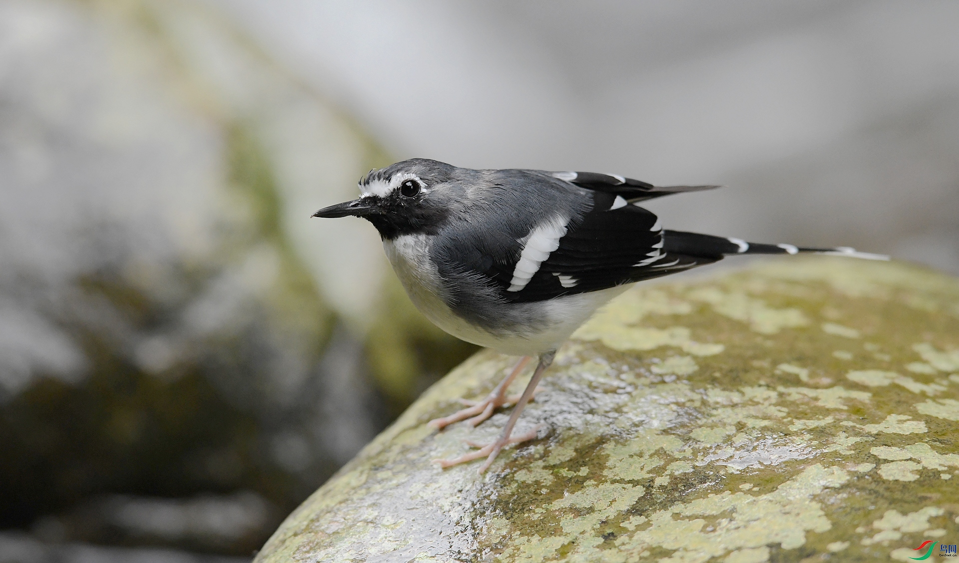 DSC_7251.jpg