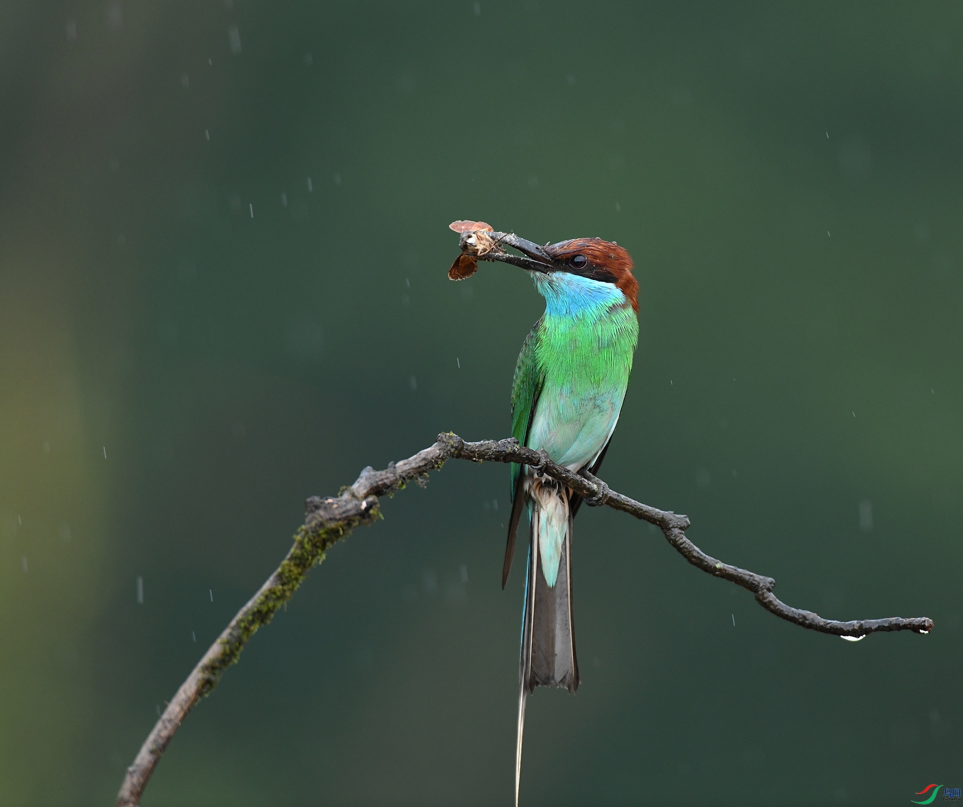 DSC_9085.jpg