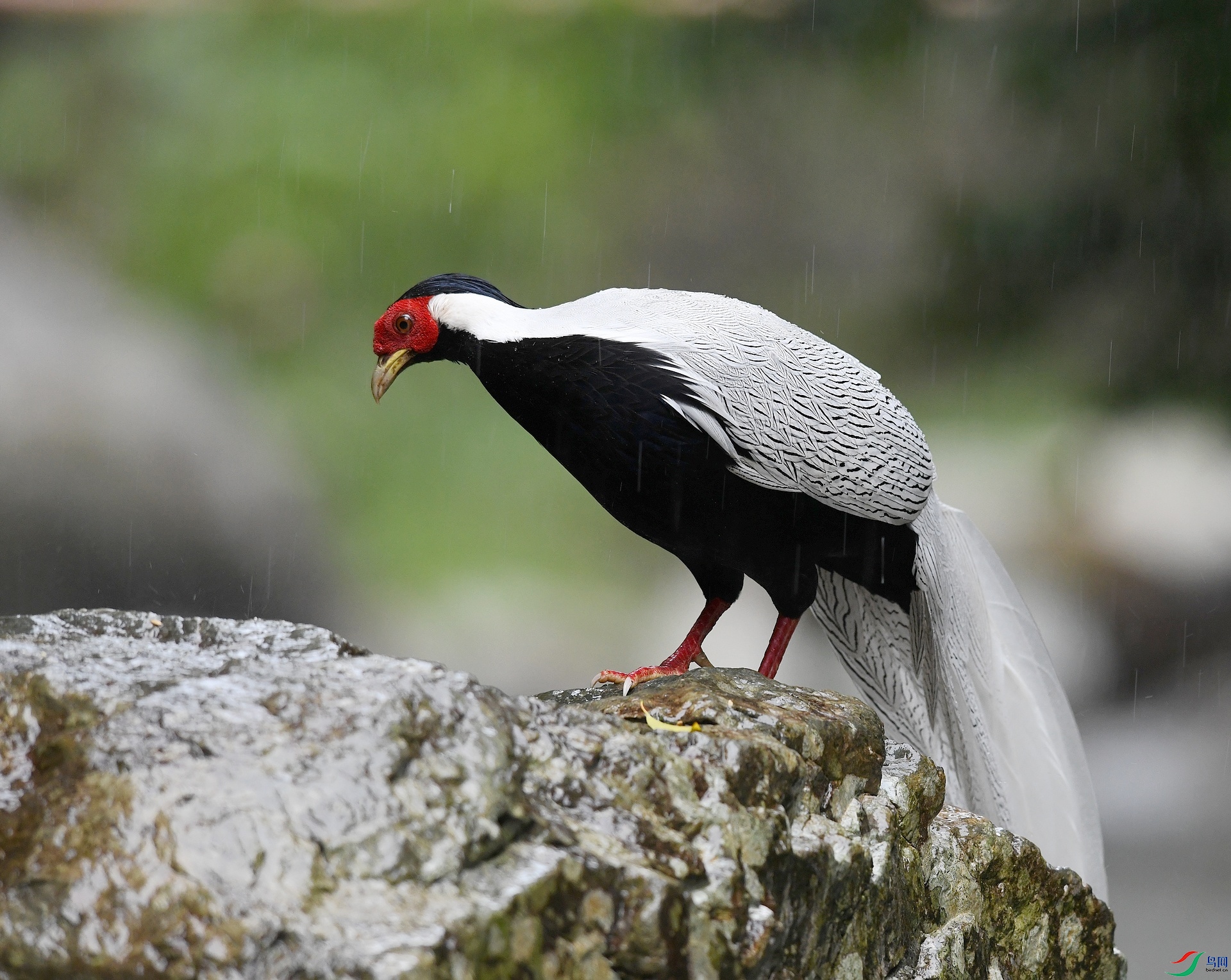 DSC_5758.jpg