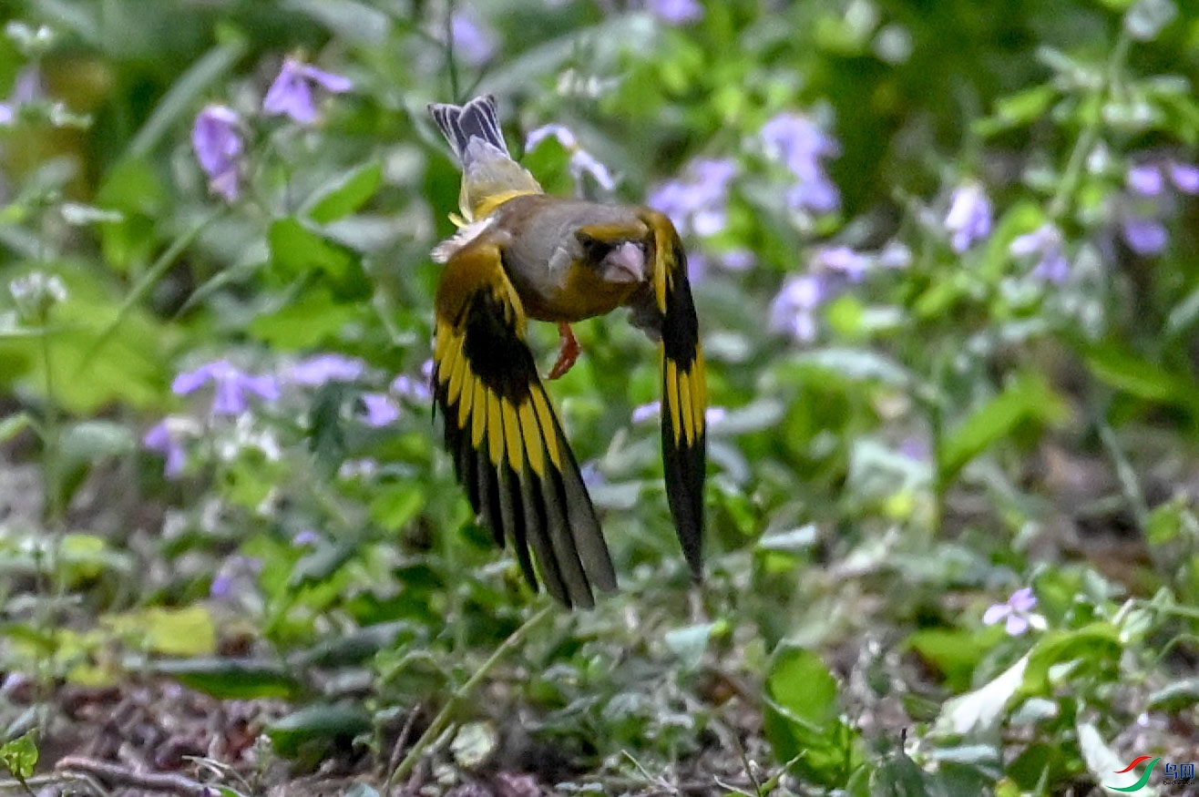 DSC_6889   ��.jpg