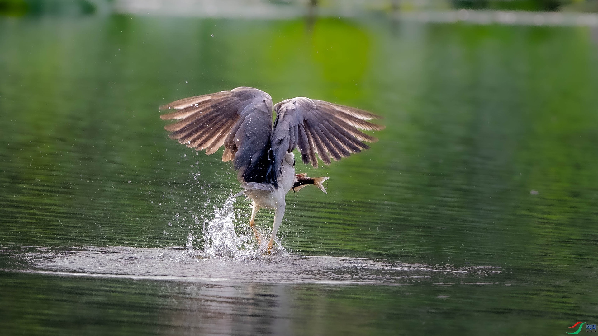 DSC_0731.jpg
